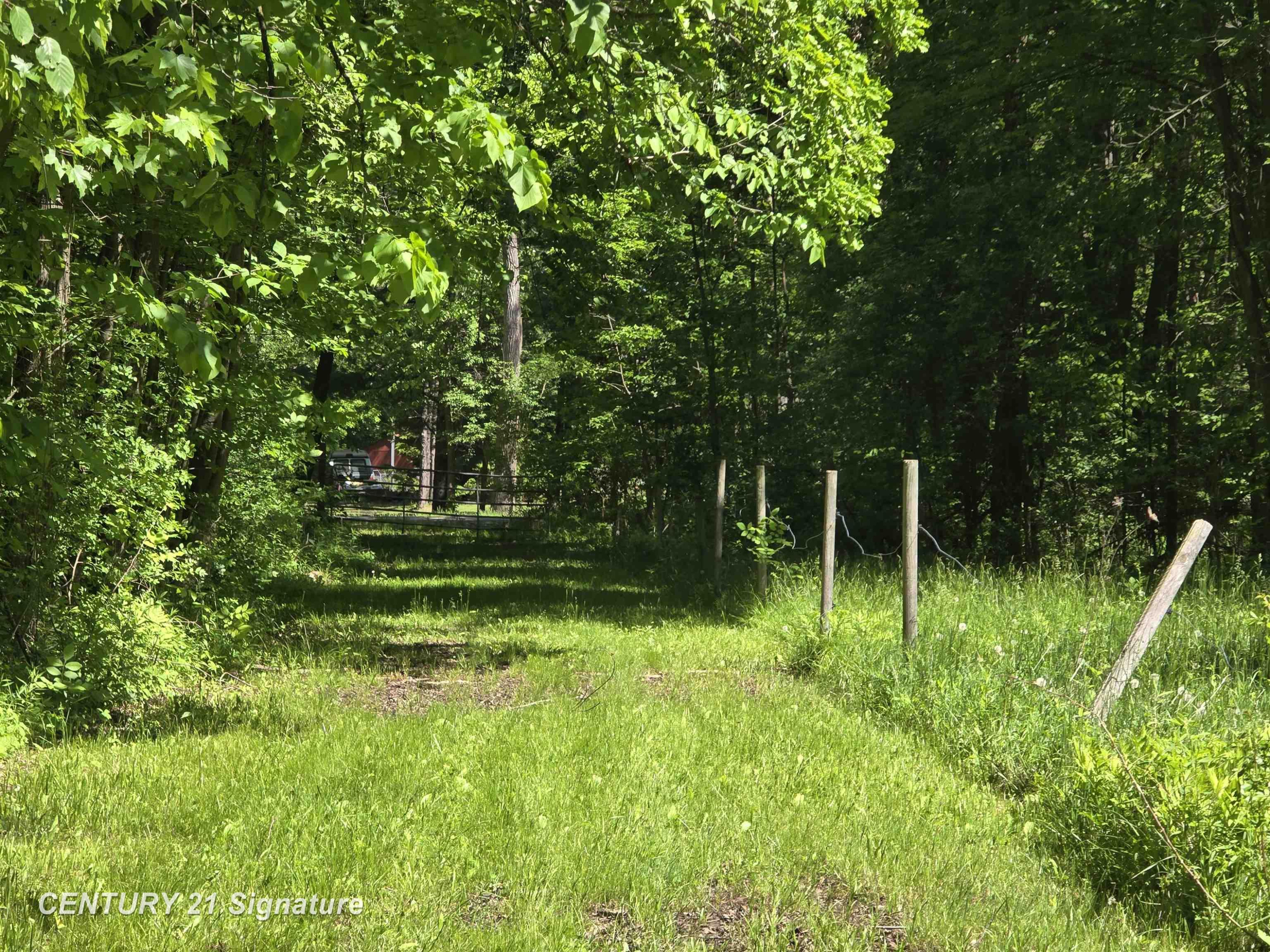 1162 E Farrand Road, Clio, MI 48420 — Photo 61