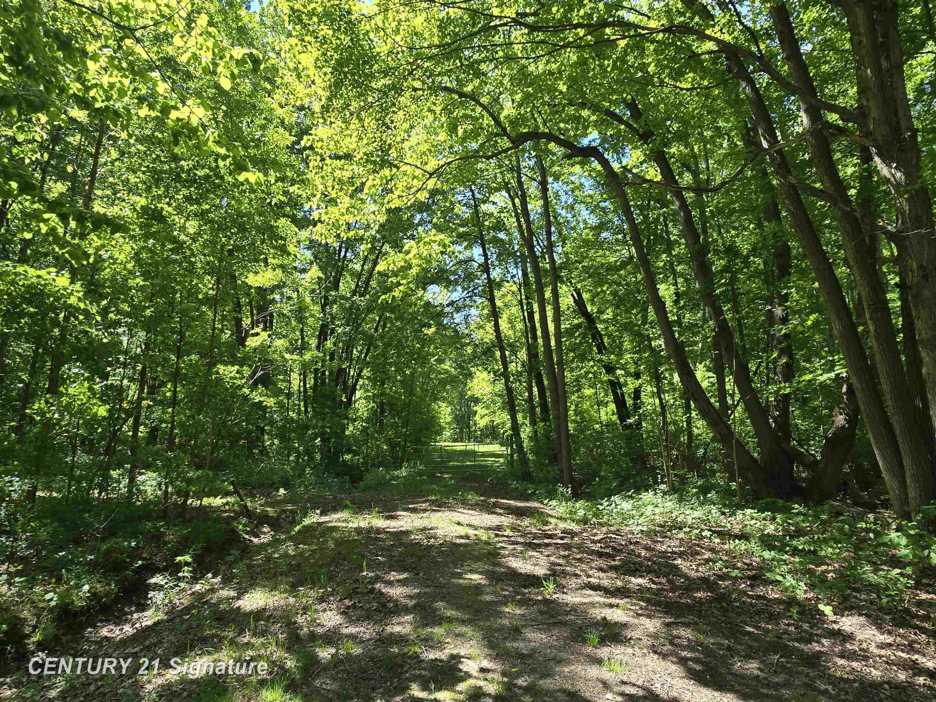 1162 E Farrand Road, Clio, MI 48420 — Photo 62