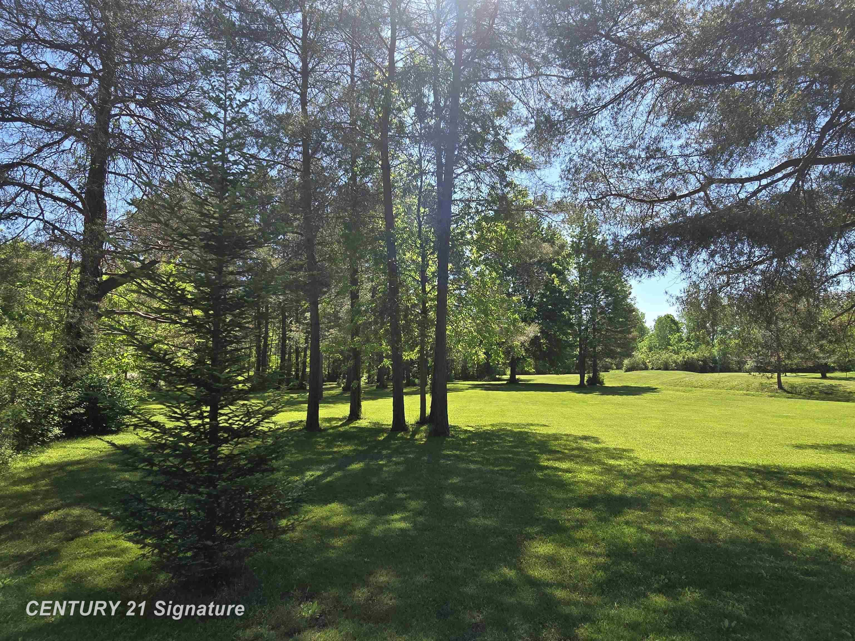 1162 E Farrand Road, Clio, MI 48420 — Photo 64