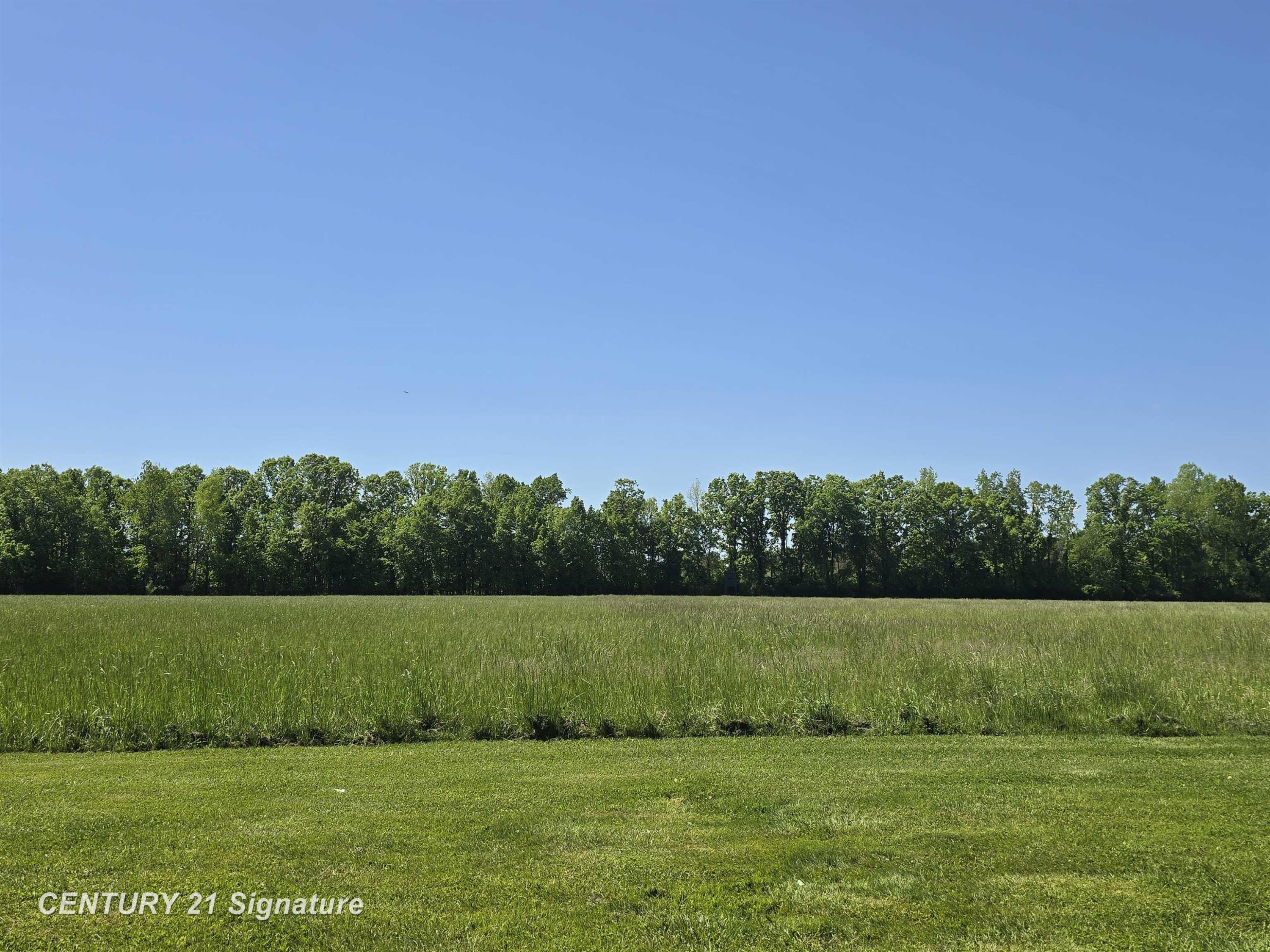 1162 E Farrand Road, Clio, MI 48420 — Photo 70
