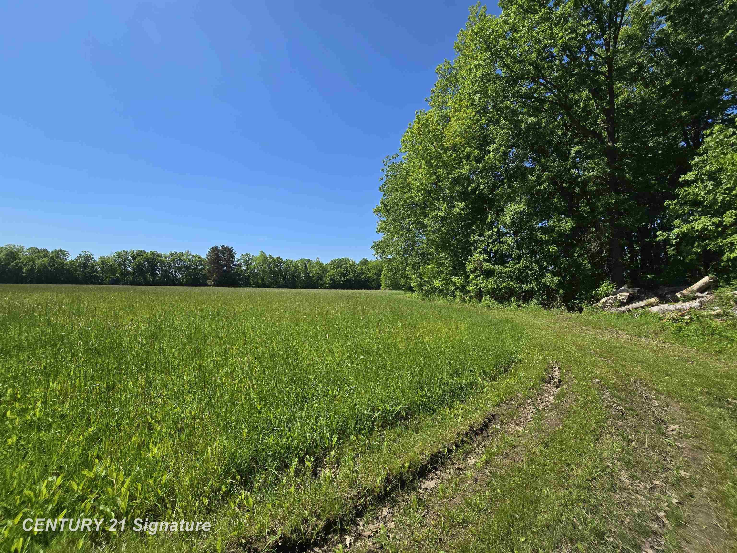 1162 E Farrand Road, Clio, MI 48420 — Photo 71