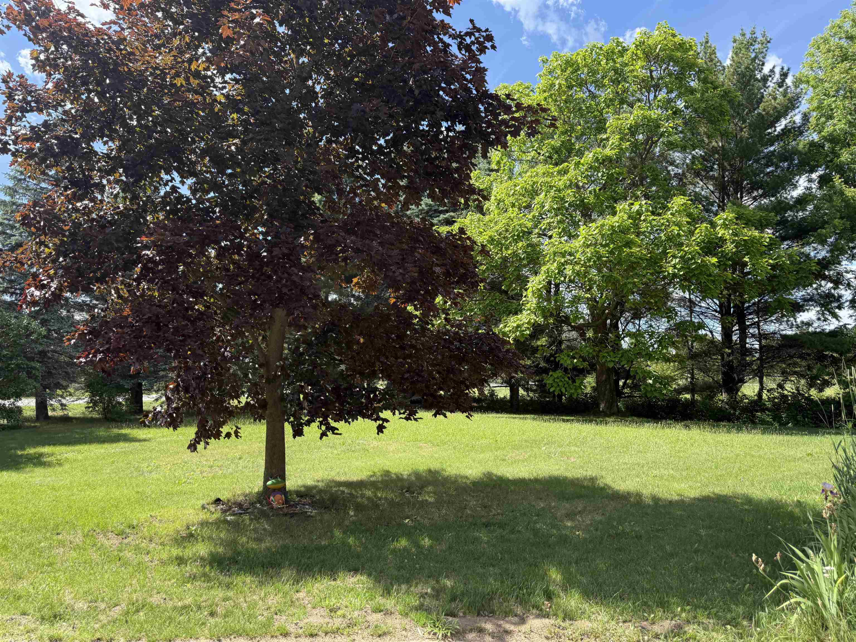 9749 Bell Road, Birch Run, MI 48415 — Photo 2