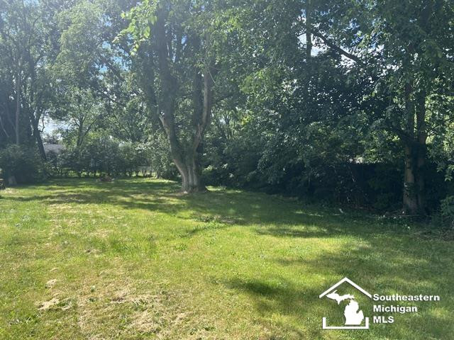 978 Division Street, Adrian, MI 49221 — Photo 6
