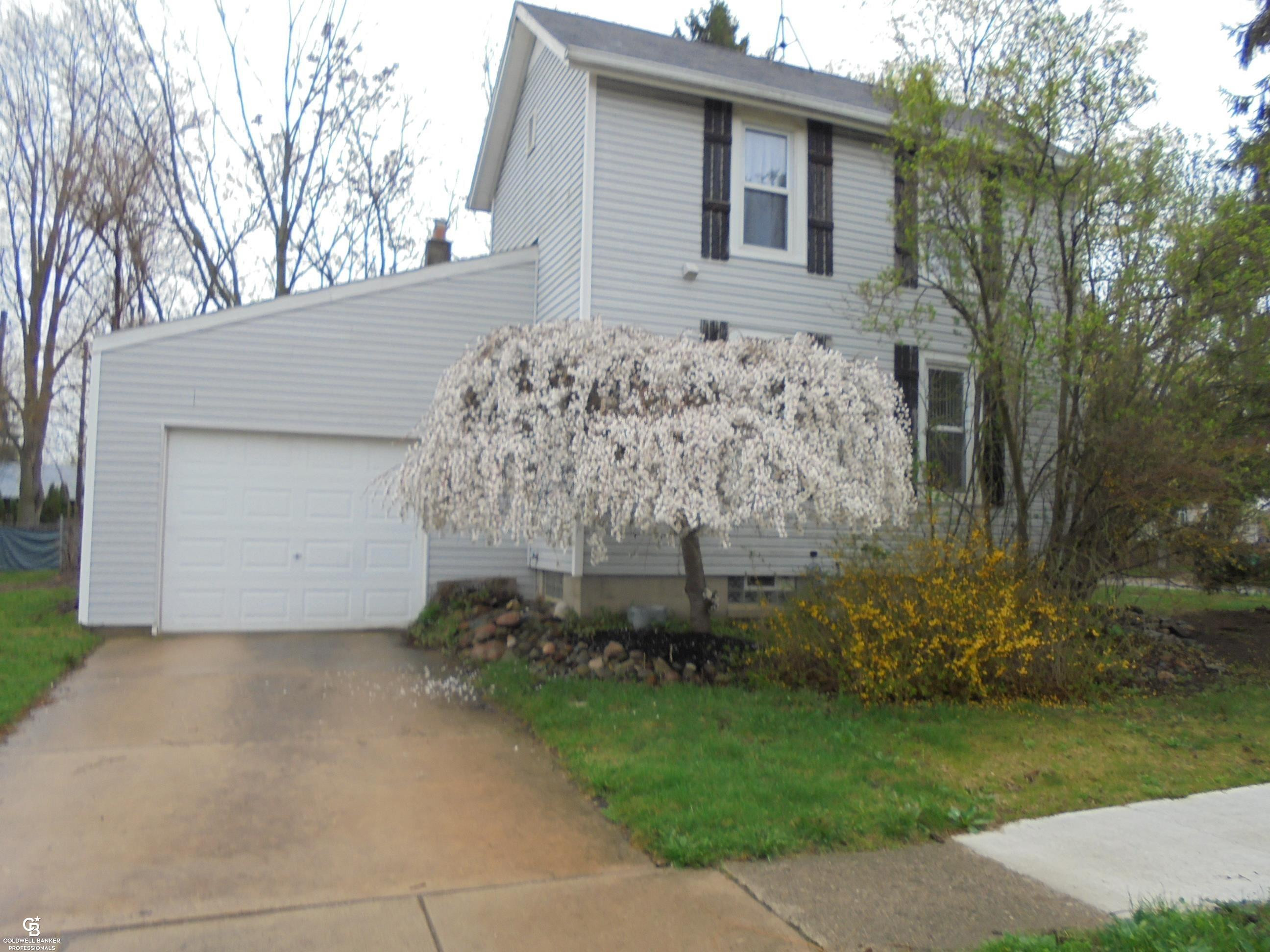 36311 Beier Street, Richmond, MI 48062 — Photo 6