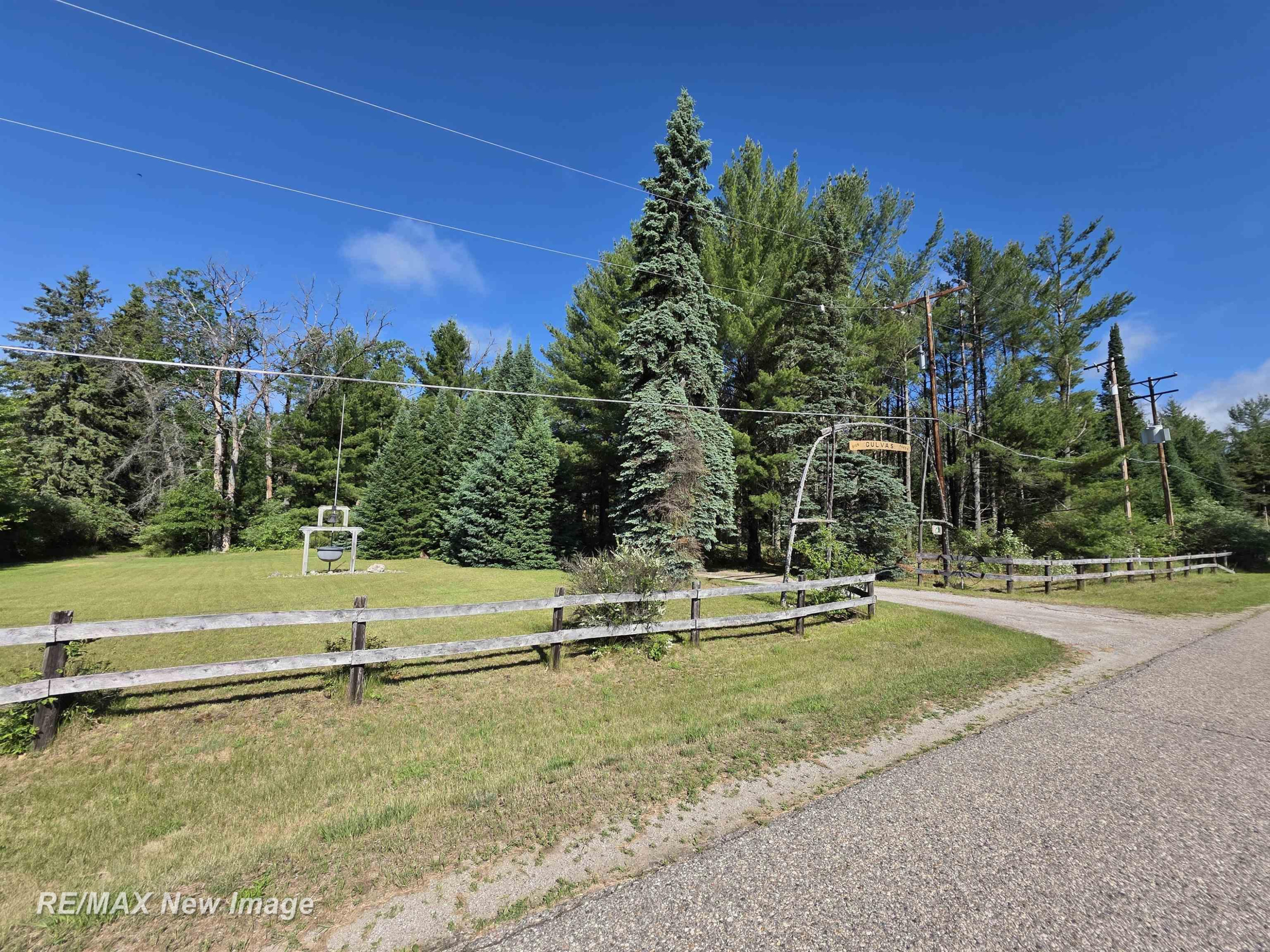 4549 Mack Lake Trail, South Branch, MI 48761 — Photo 3