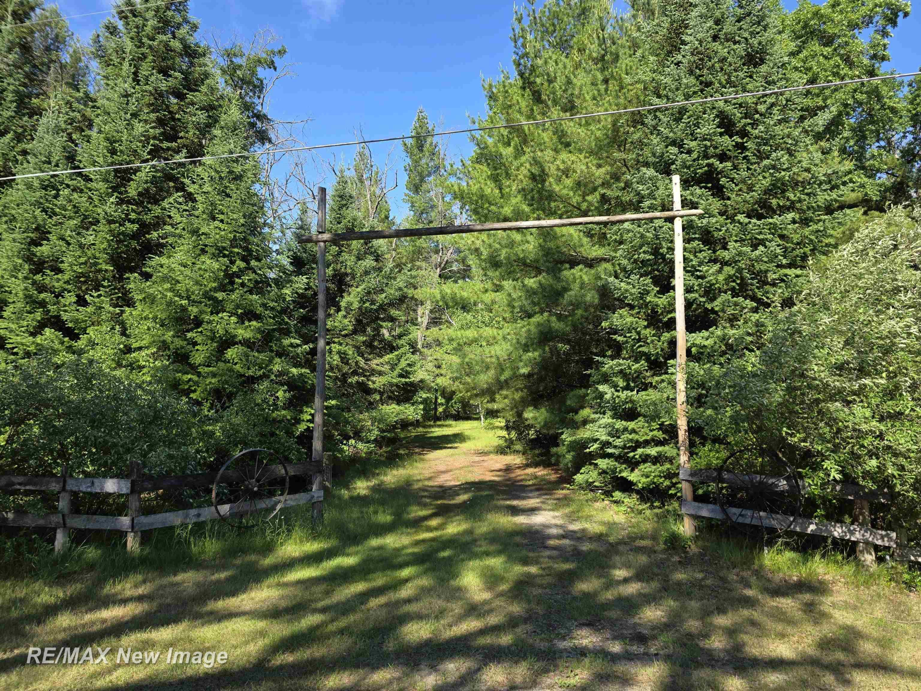 4549 Mack Lake Trail, South Branch, MI 48761 — Photo 47