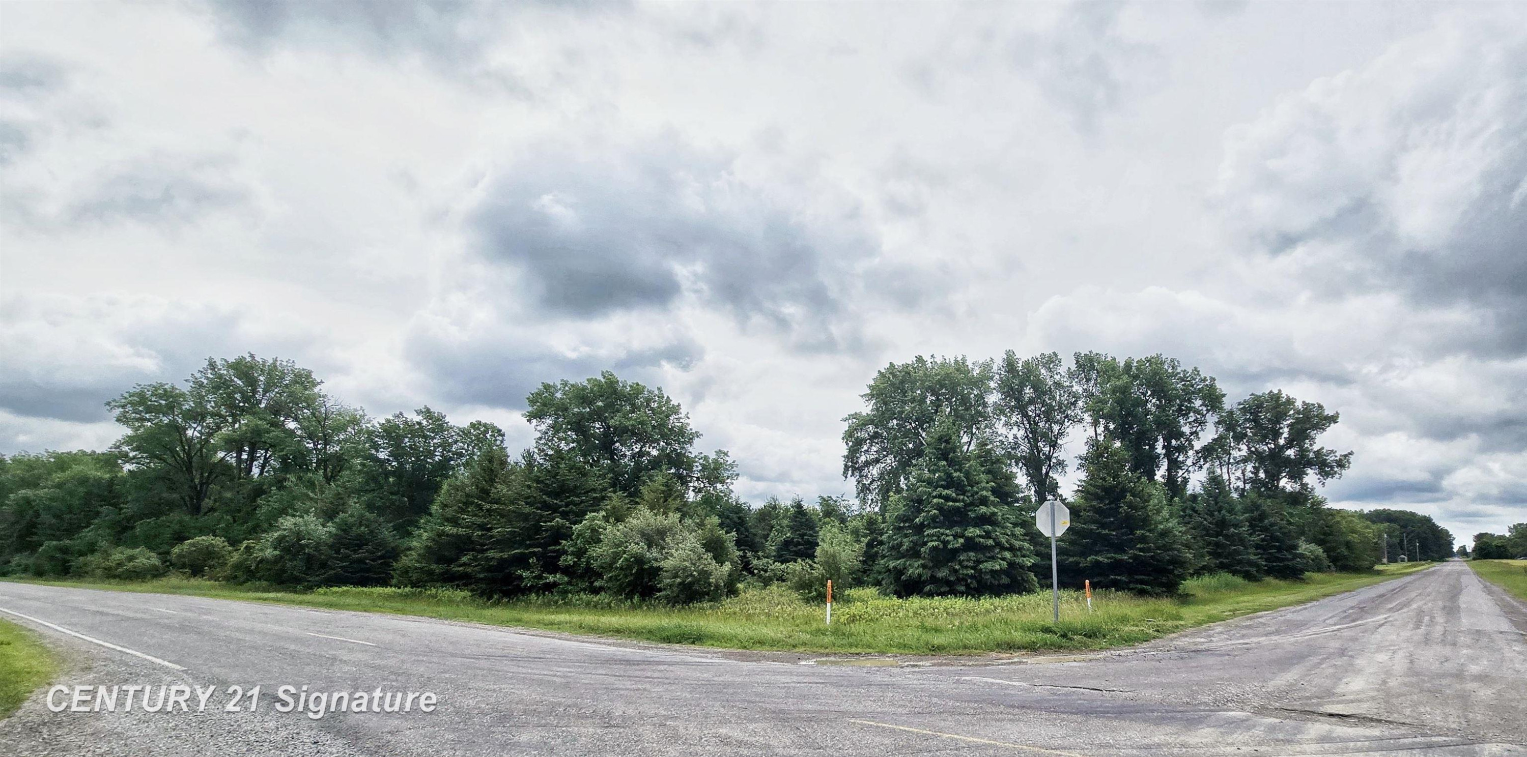 VL Frost Road, Hemlock, MI 48626 — Photo 3