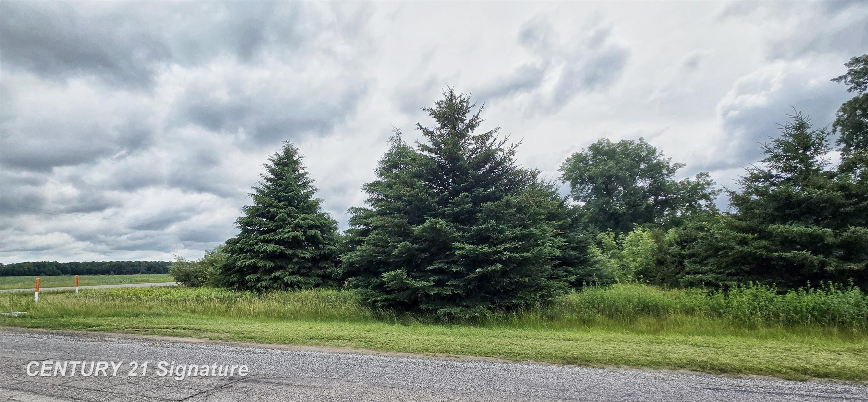 VL Frost Road, Hemlock, MI 48626 — Photo 4