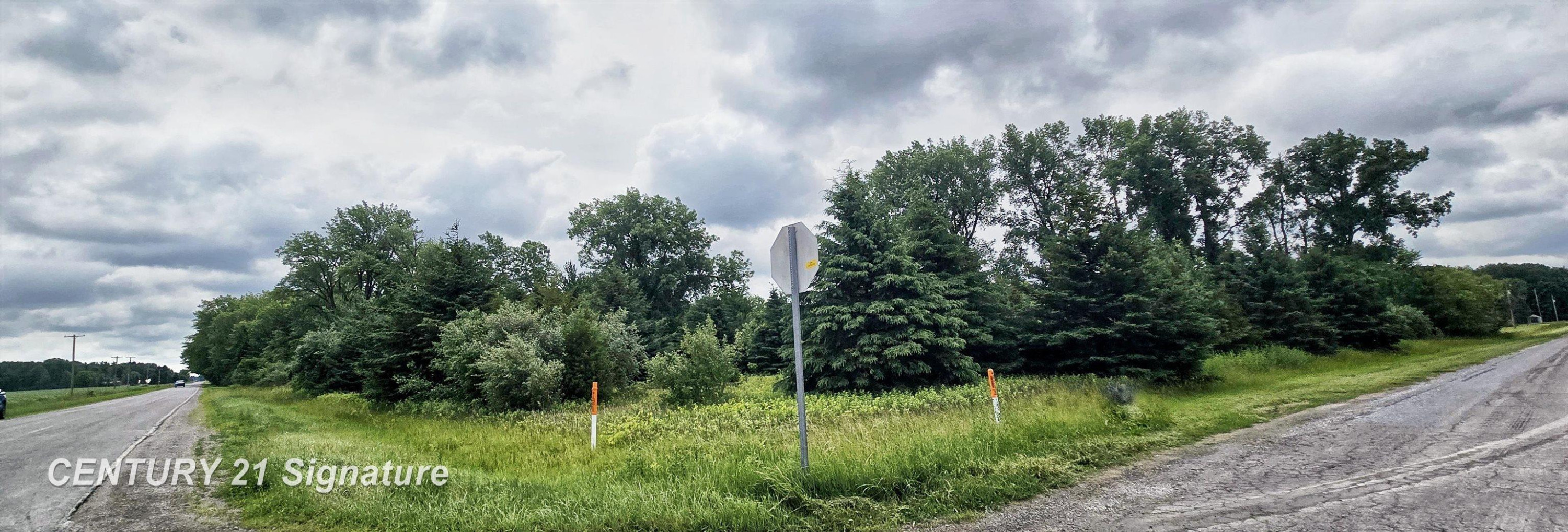 VL Frost Road, Hemlock, MI 48626 — Photo 5