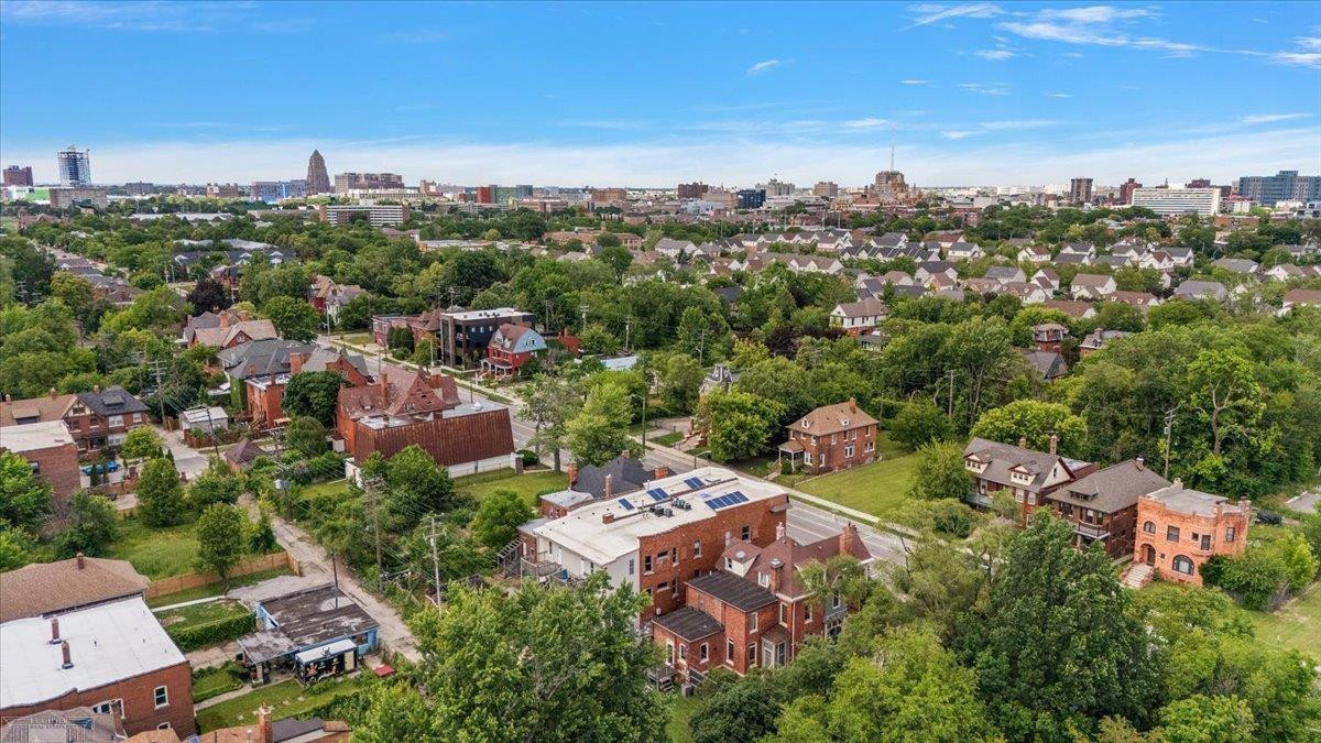 3933 Trumbull Street, Detroit, MI 48208 — Photo 53