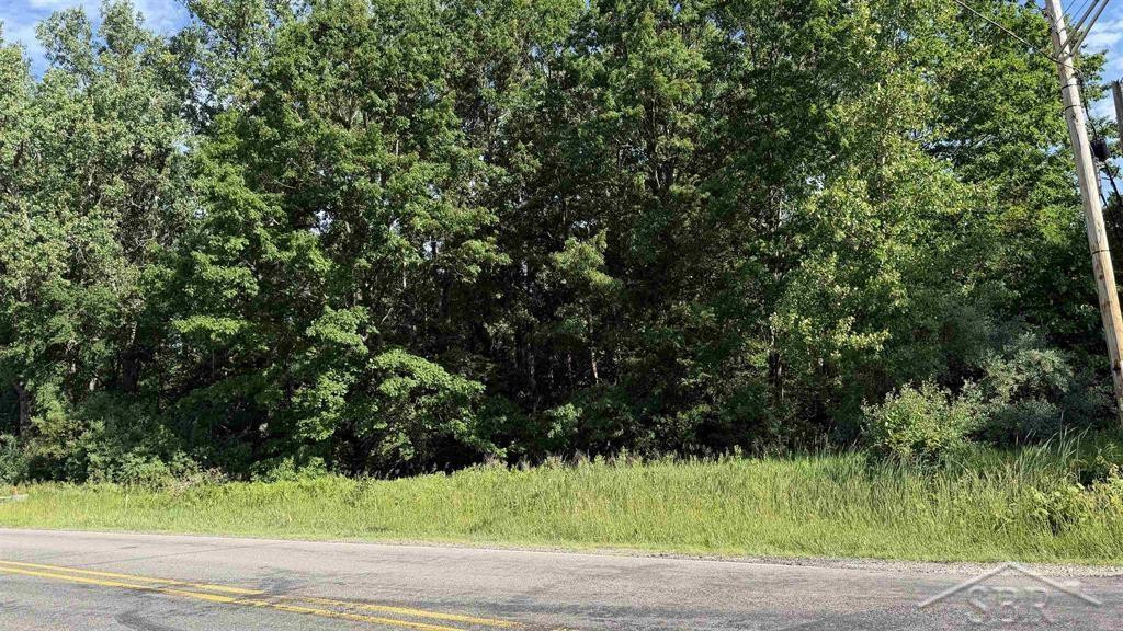 VL E Gordonville Road, Midland, MI 48640 — Photo 2