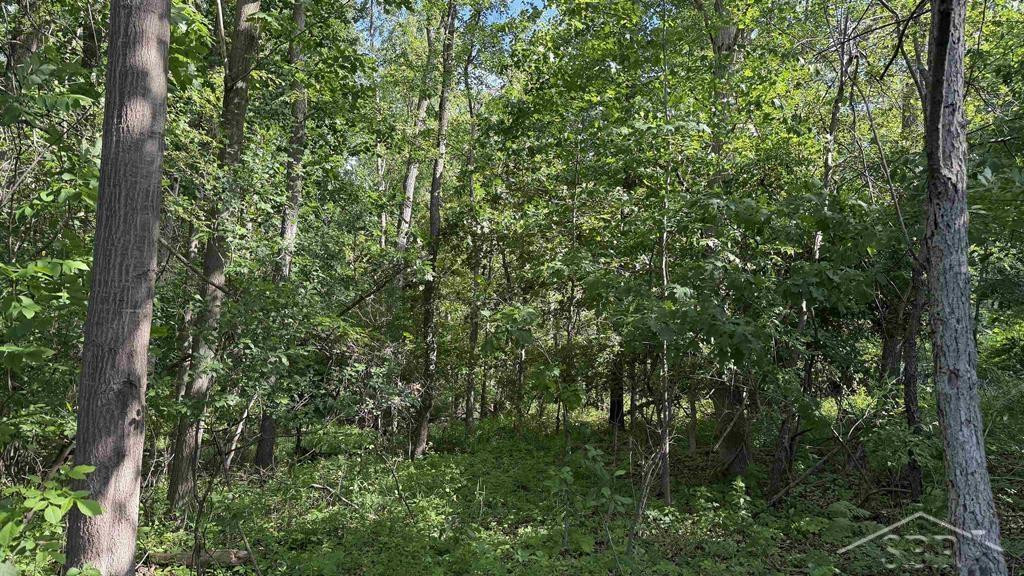 VL E Gordonville Road, Midland, MI 48640 — Photo 4