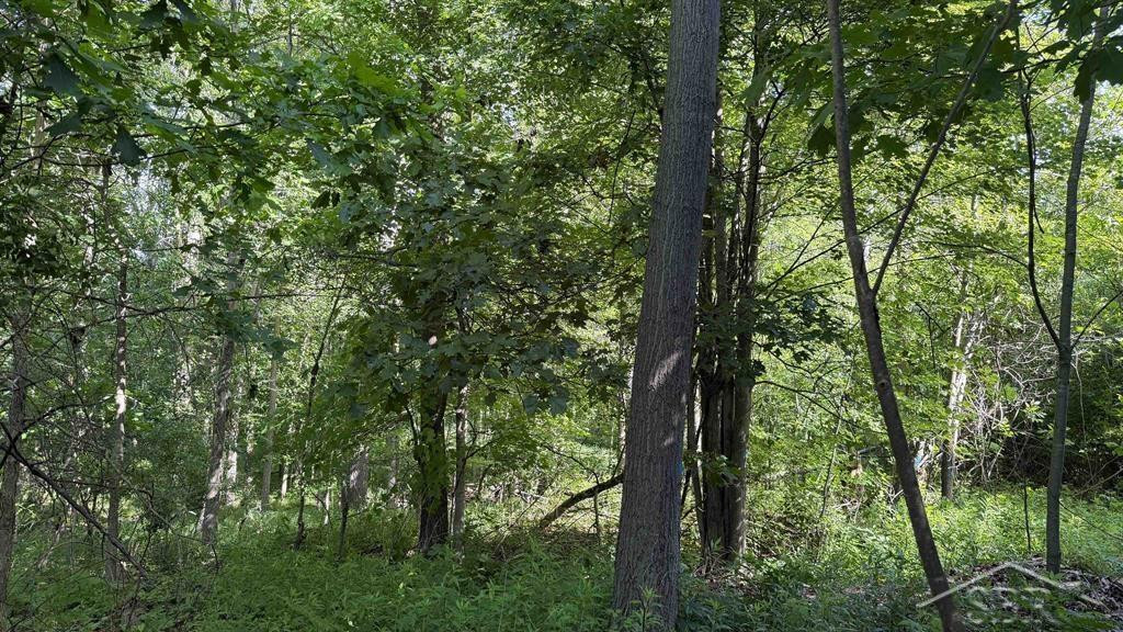 VL E Gordonville Road, Midland, MI 48640 — Photo 5