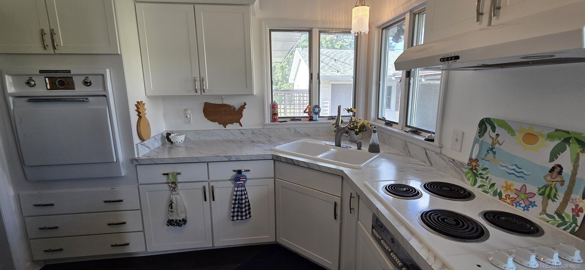 7439 Birch Tree Road, Lexington, MI 48450 — Photo 6
