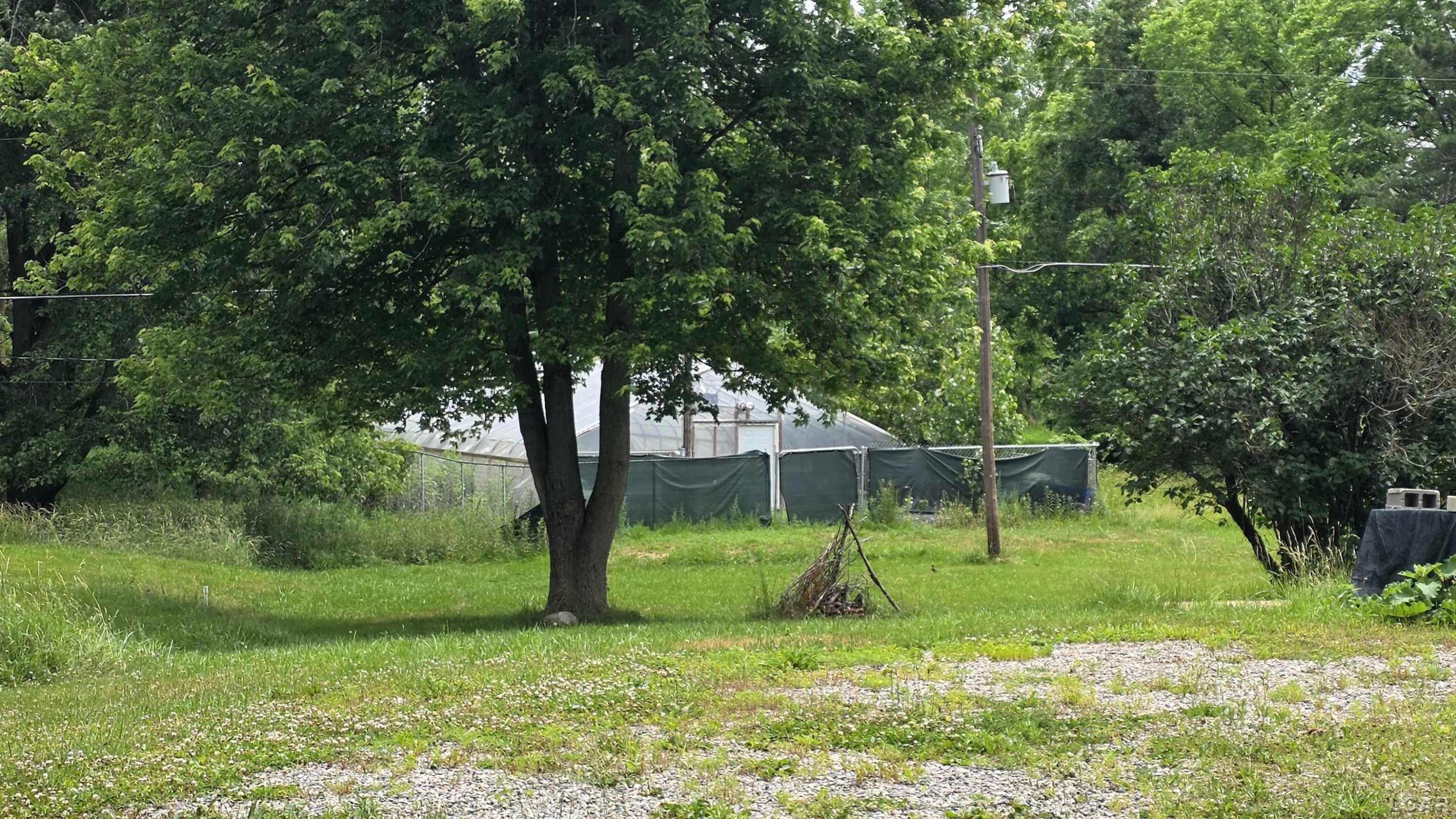 6591 S Tripp Road, Osseo, MI 49266 — Photo 7