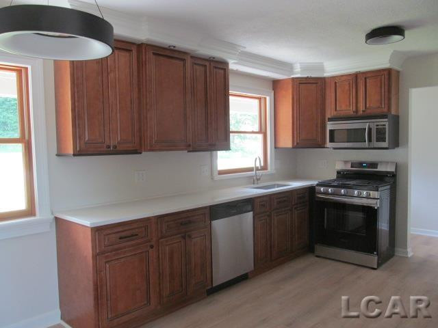 9315 Kingsley Drive, Onsted, MI 49265 — Photo 7
