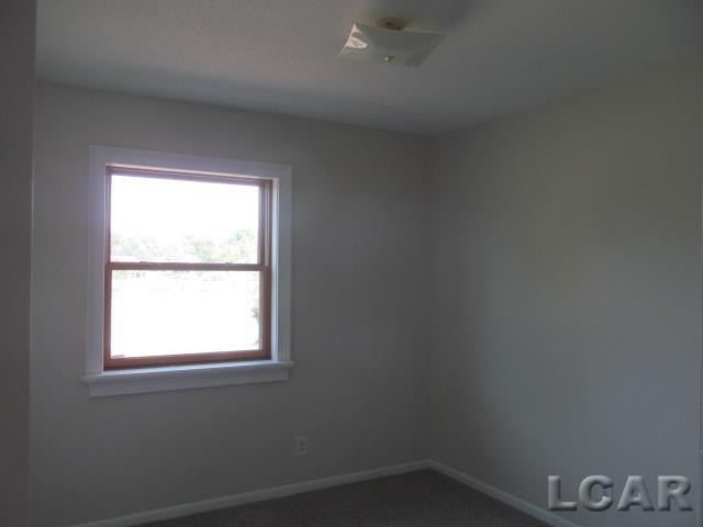 9315 Kingsley Drive, Onsted, MI 49265 — Photo 12