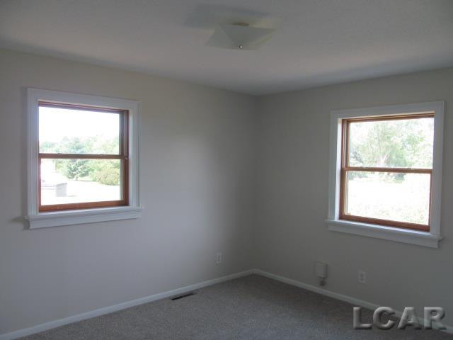 9315 Kingsley Drive, Onsted, MI 49265 — Photo 13