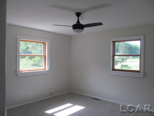 9315 Kingsley Drive, Onsted, MI 49265 — Photo 16