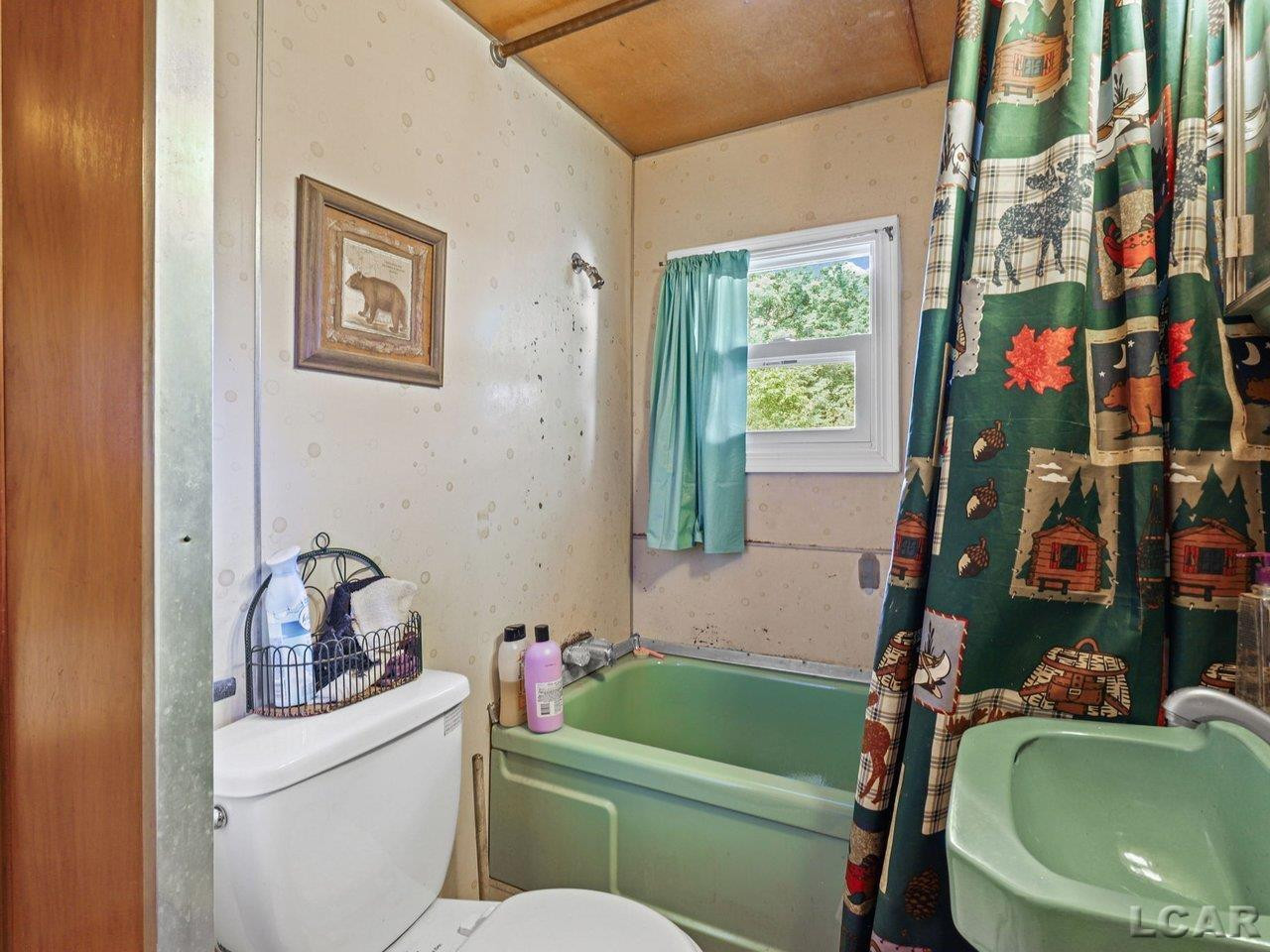 9216 Bass Drive, Reading, MI 49274 — Photo 8