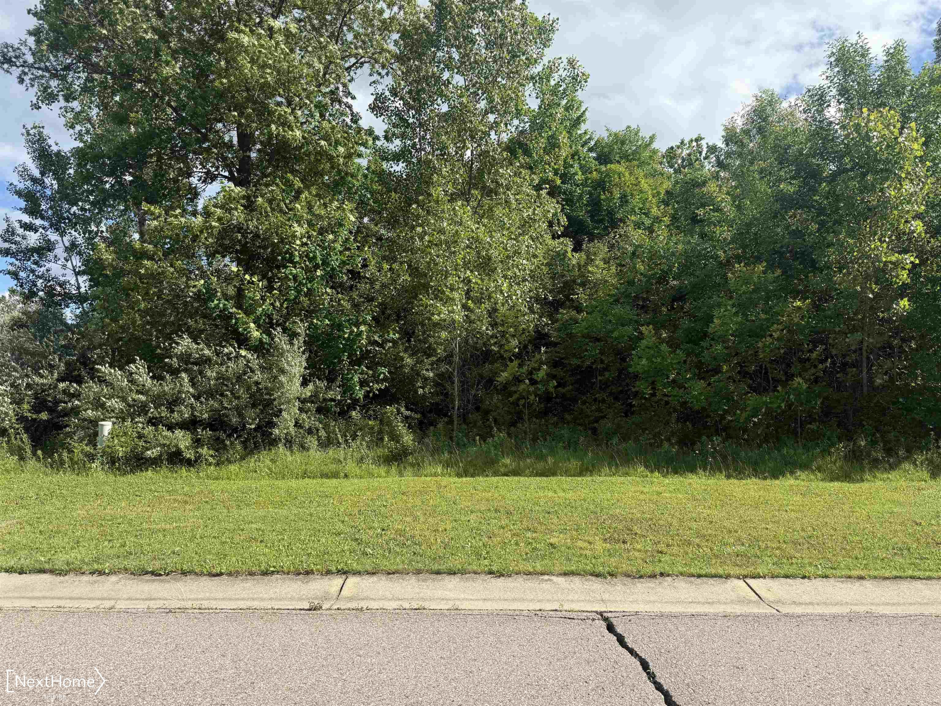 VL Lot 53 Willow Trail, Grand Blanc, MI 48439 — Photo 2