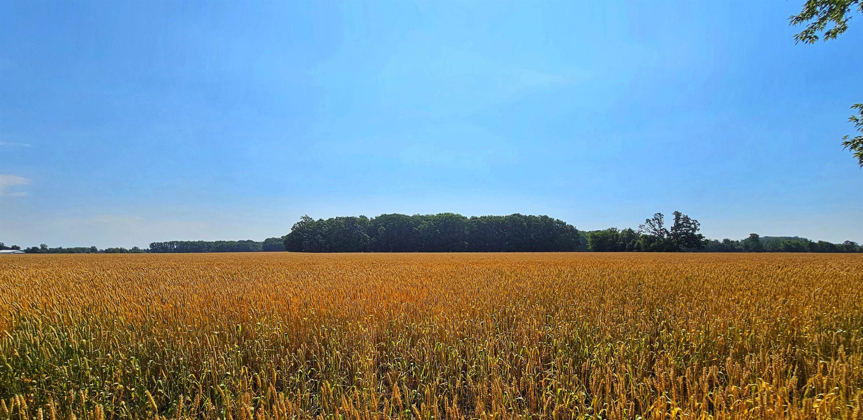 8273 Van Vleet Road, MI 48436 — Photo 21