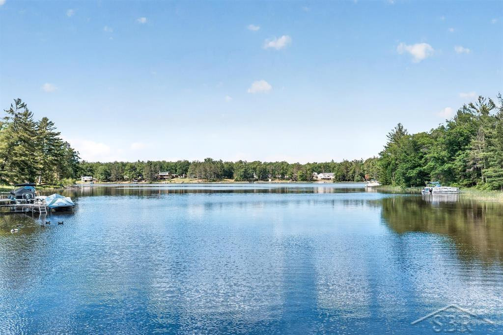 7059 Chain Lake Drive, South Branch, MI 48761 — Photo 4
