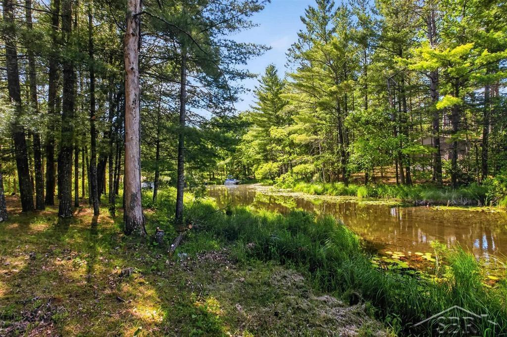 7059 Chain Lake Drive, South Branch, MI 48761 — Photo 42