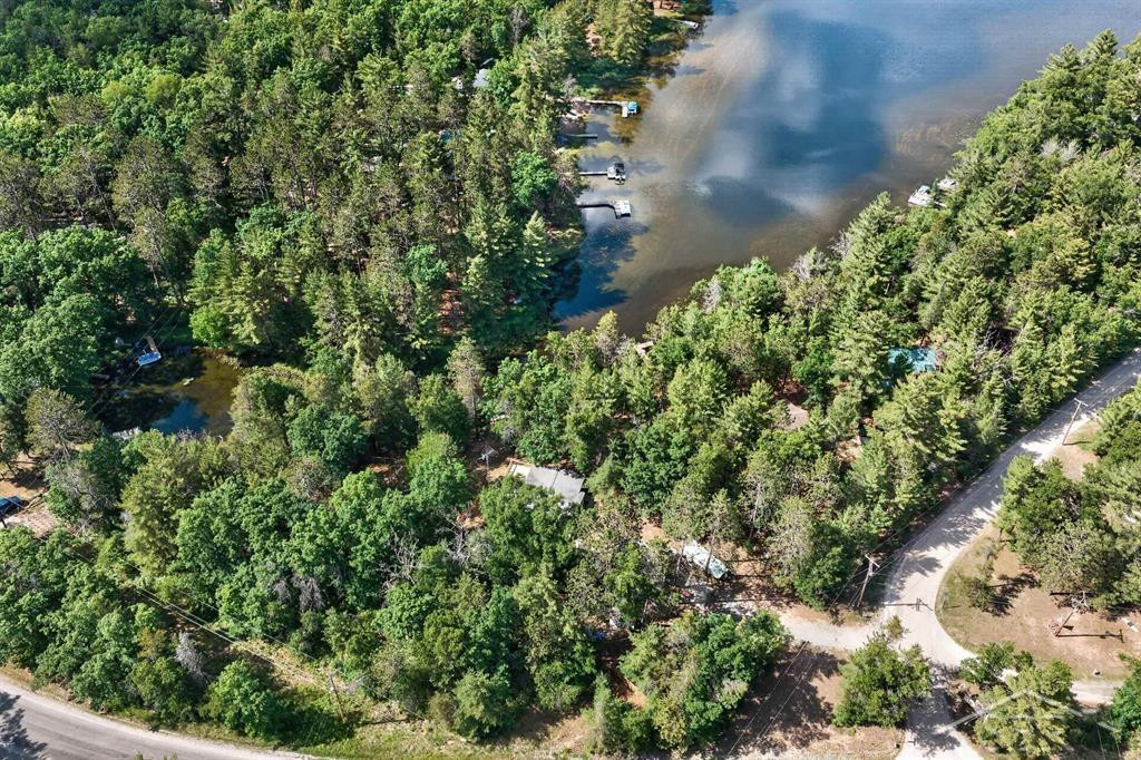 7059 Chain Lake Drive, South Branch, MI 48761 — Photo 44