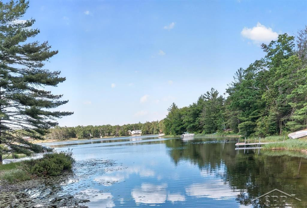 7059 Chain Lake Drive, South Branch, MI 48761 — Photo 46