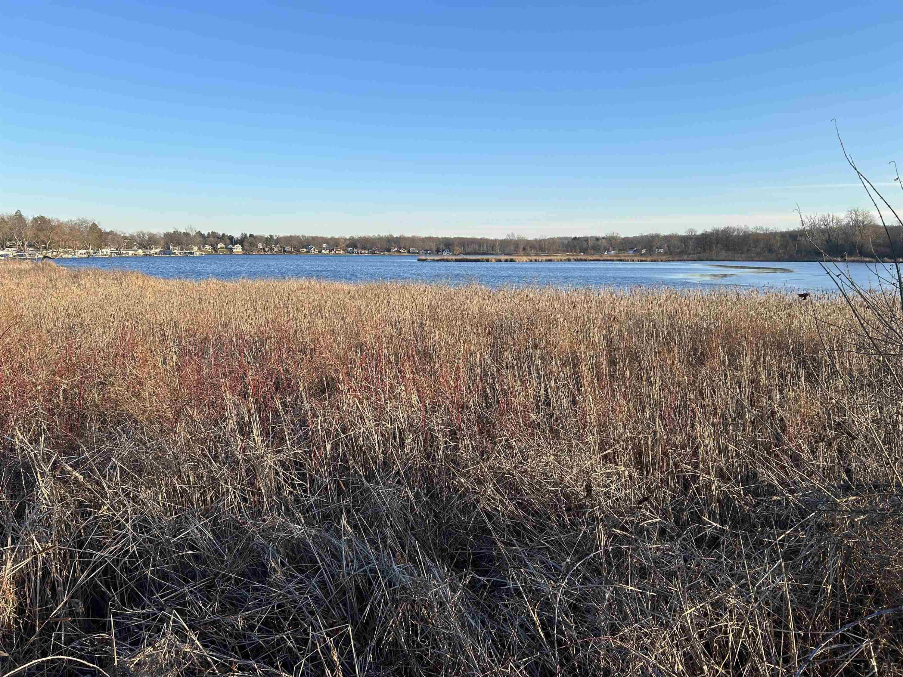 753 Vaniman Island Drive, Brooklyn, MI 49230 — Photo 13