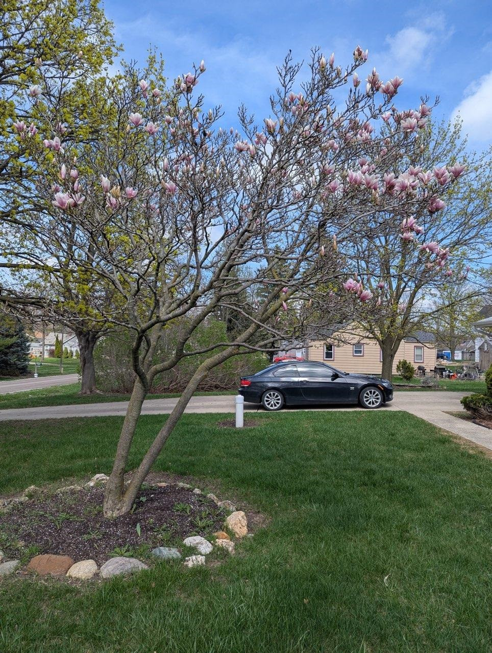 3292 Frederick Street, Grand Blanc, MI 48439 — Photo 2