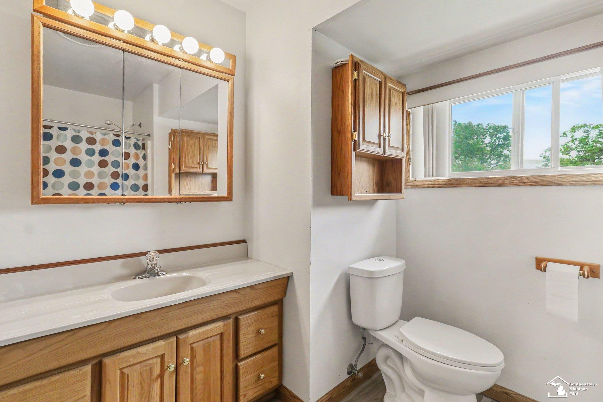 51 E Erie Road, Temperance, MI 48182 — Photo 20