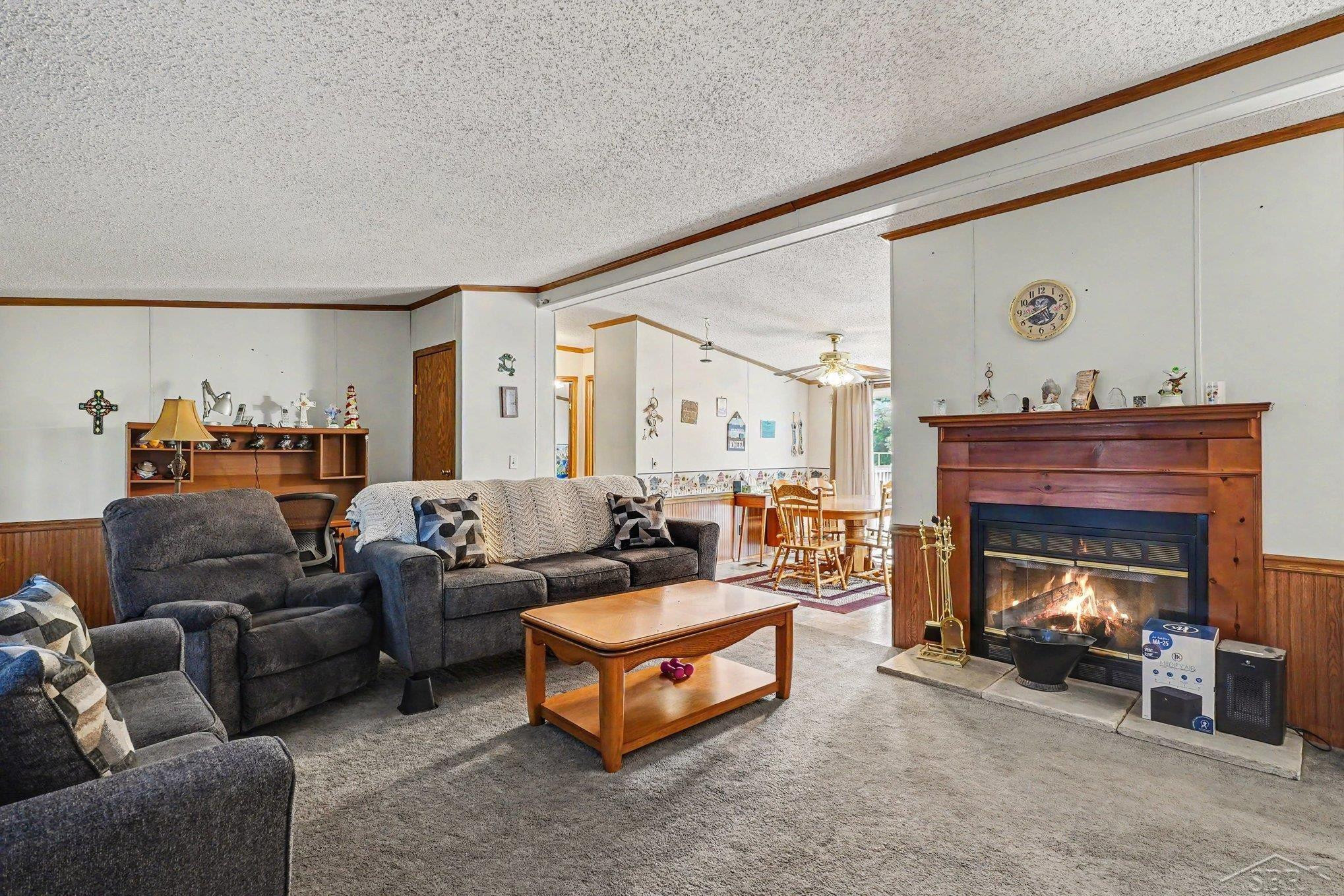 12725 Baldwin Drive, Chesaning, MI 48616 — Photo 5