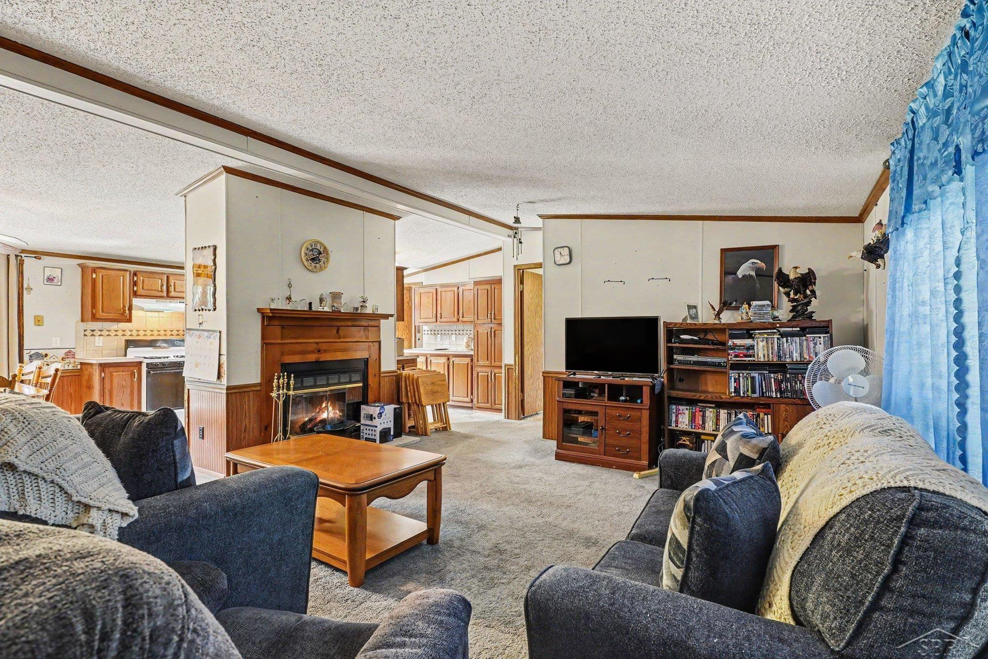 12725 Baldwin Drive, Chesaning, MI 48616 — Photo 6