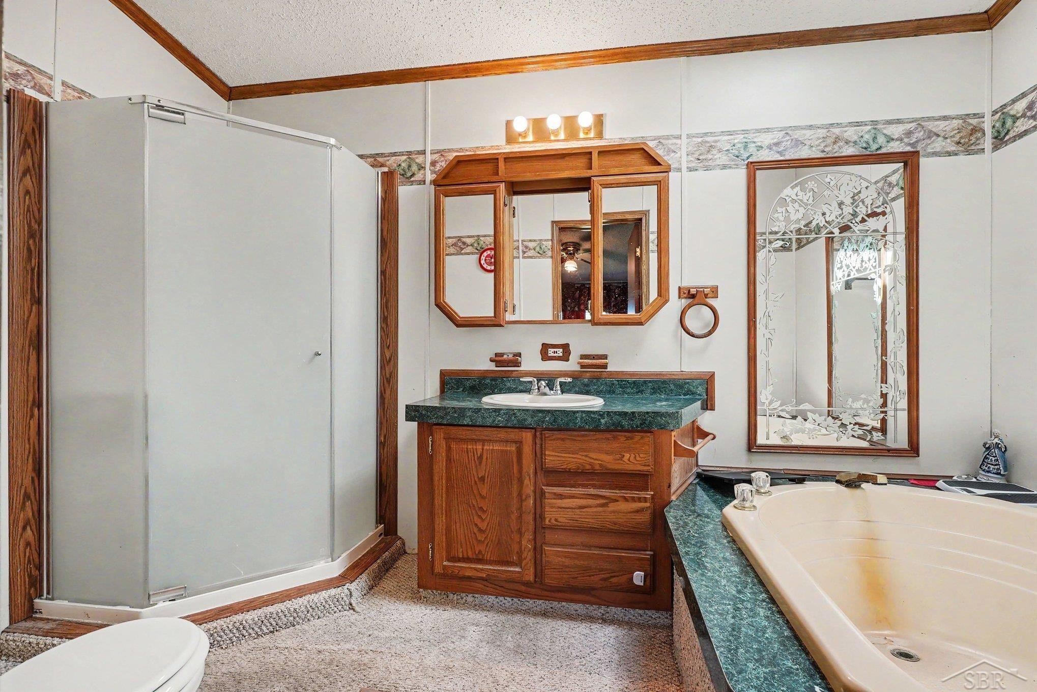 12725 Baldwin Drive, Chesaning, MI 48616 — Photo 13