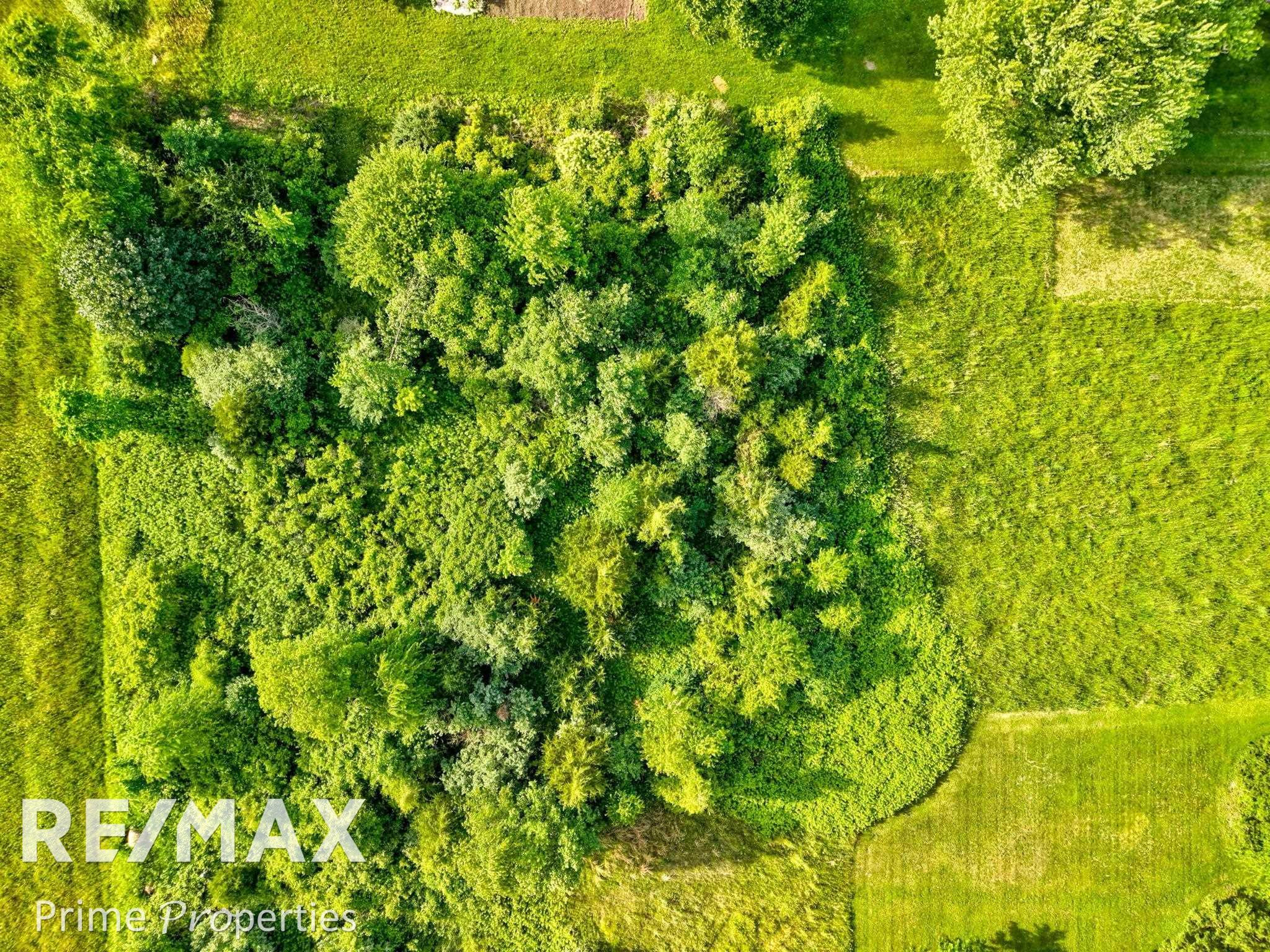 00 Oakley Road, Chesaning, MI 48616 — Photo 10
