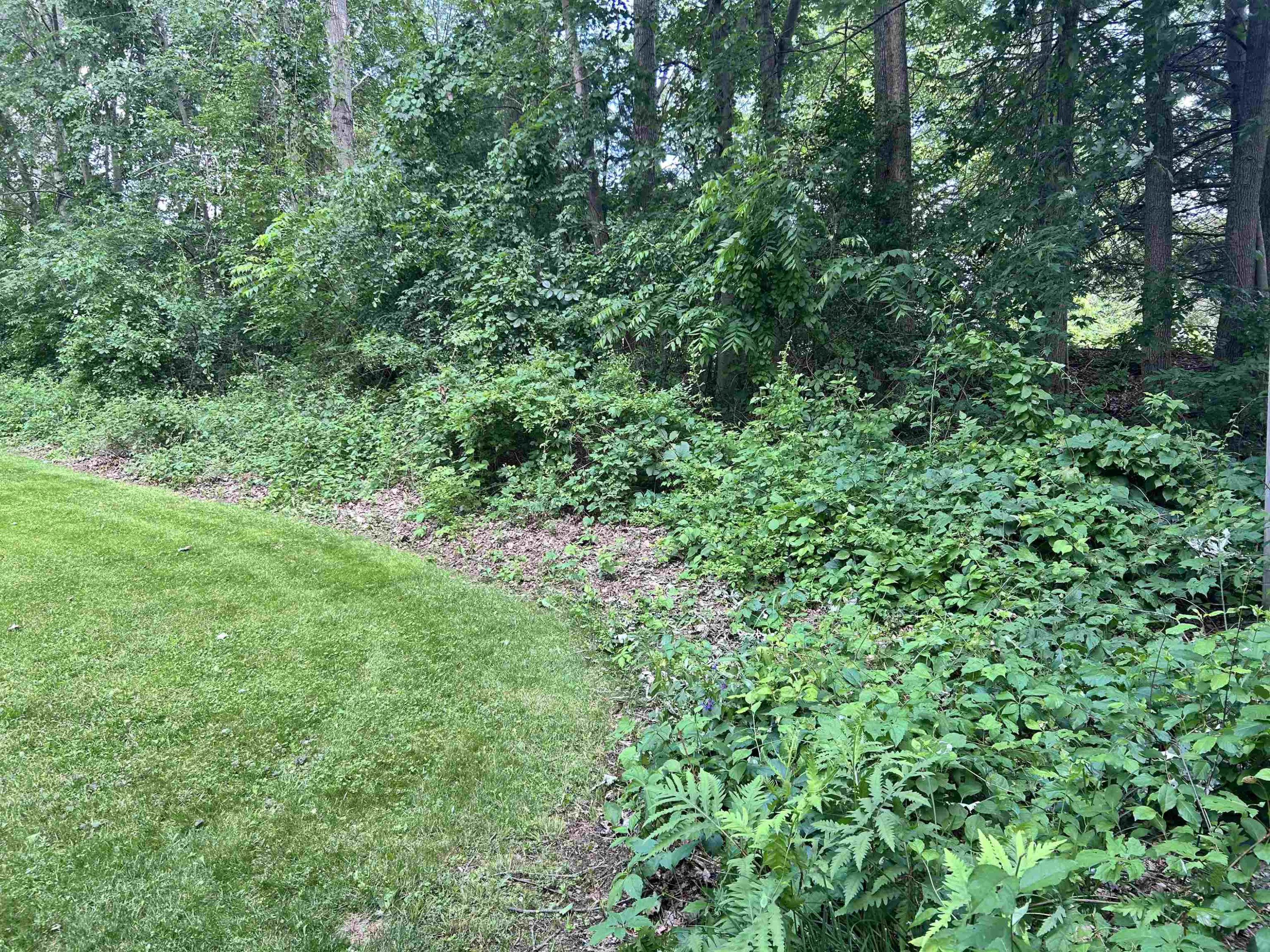 4550 Hummer Lake Road, Ortonville, MI 48462 — Photo 12
