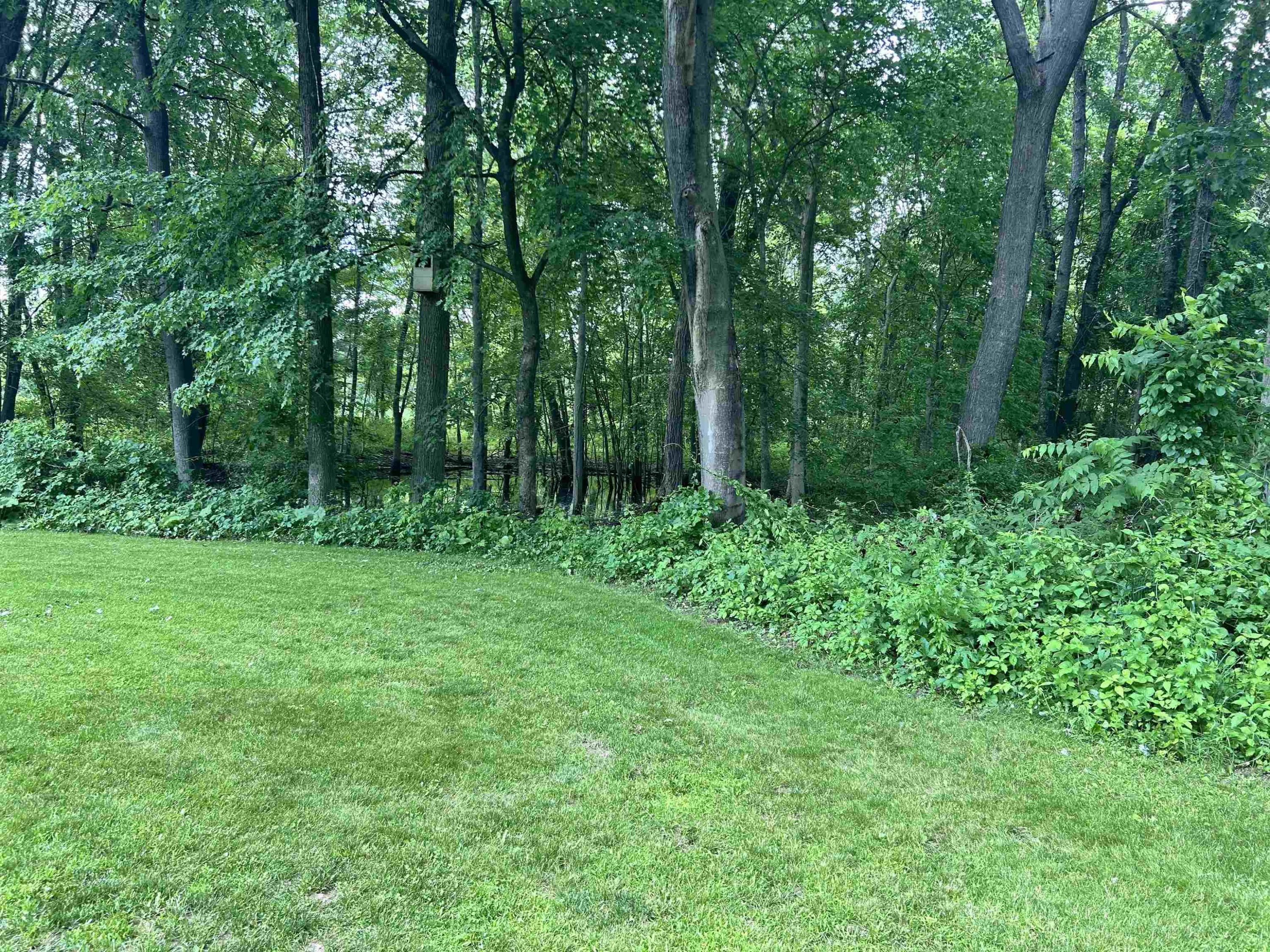 4550 Hummer Lake Road, Ortonville, MI 48462 — Photo 13
