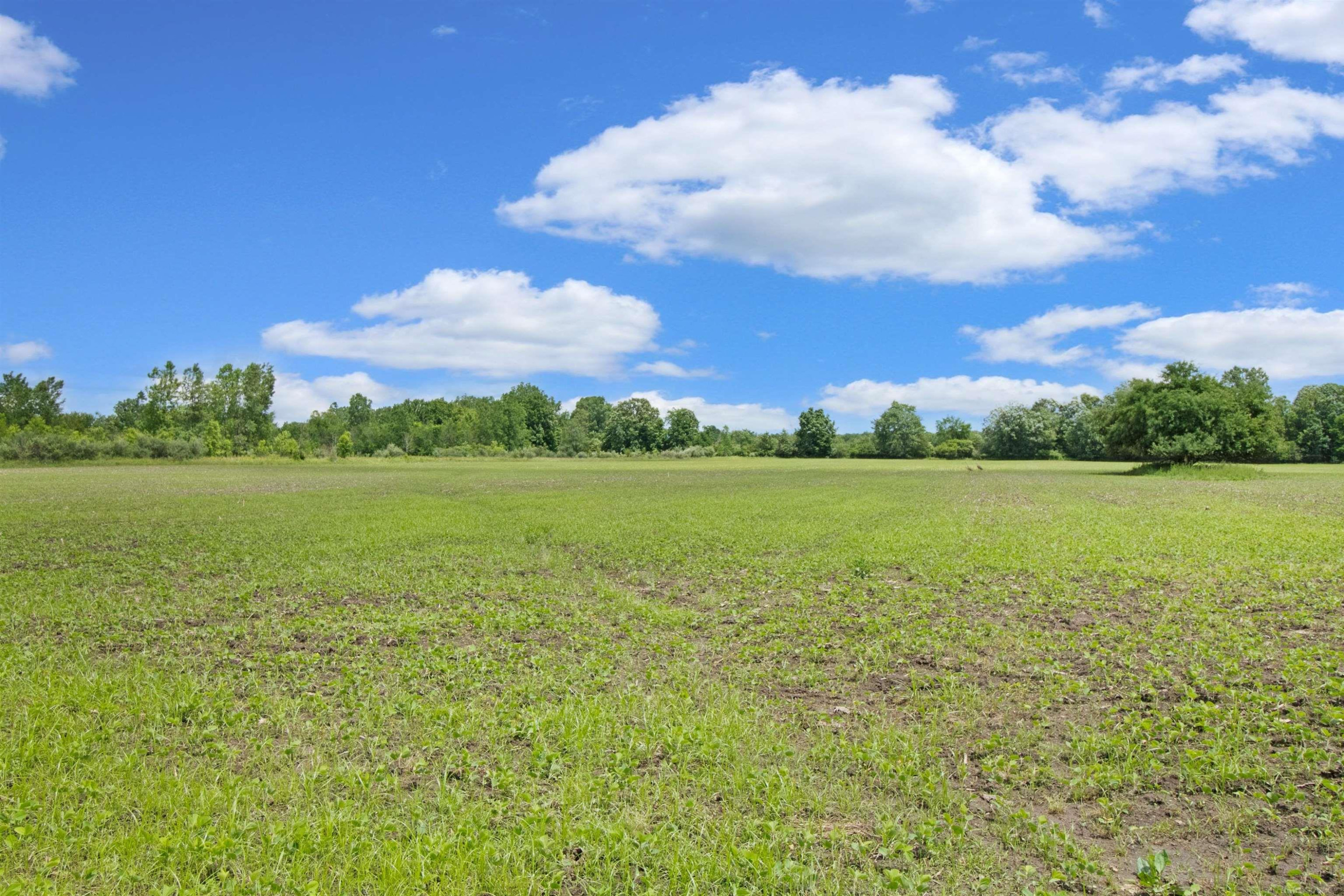 Quain Road, Emmett, MI 48022 — Photo 3