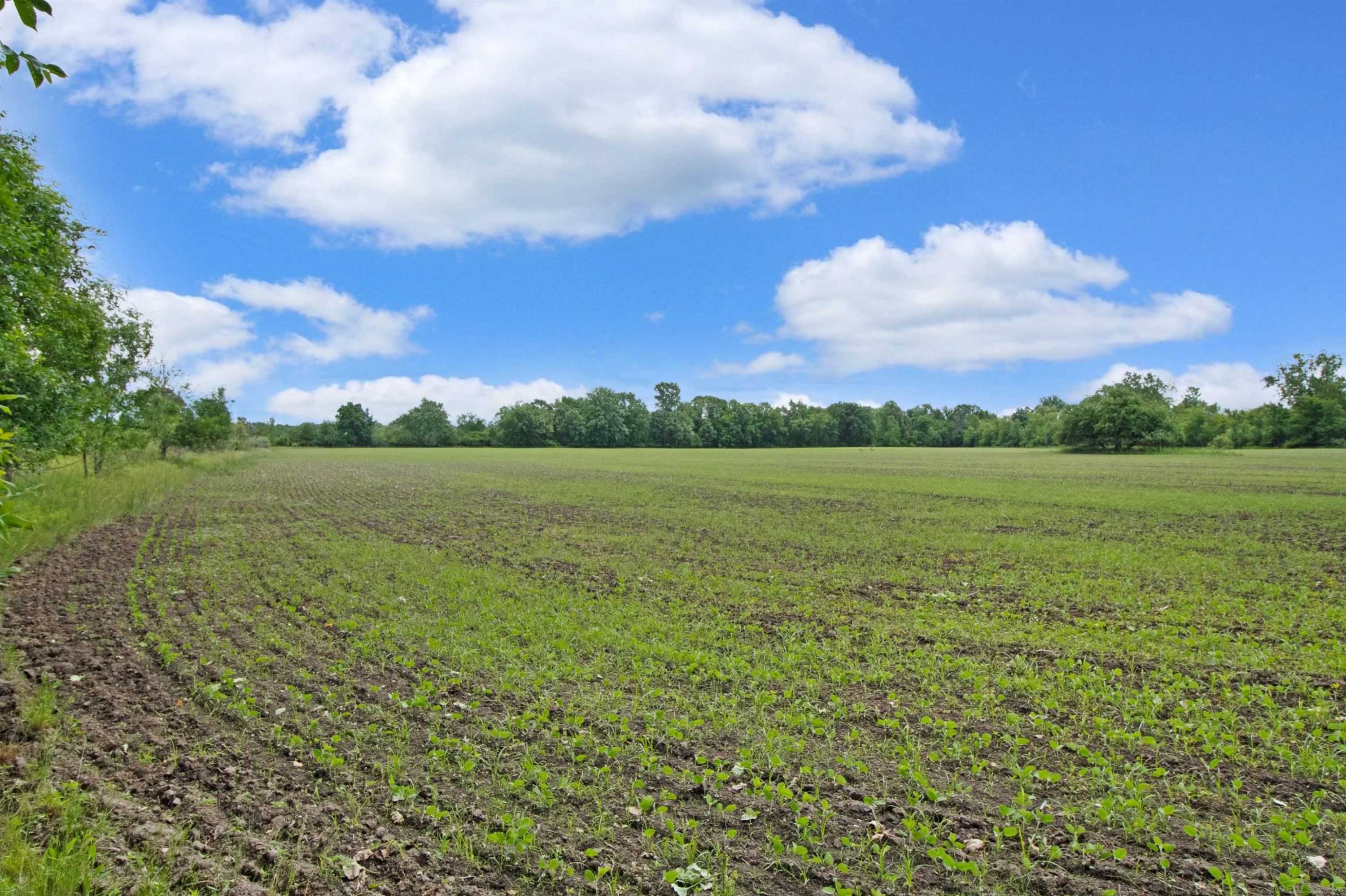 Quain Road, Emmett, MI 48022 — Photo 4