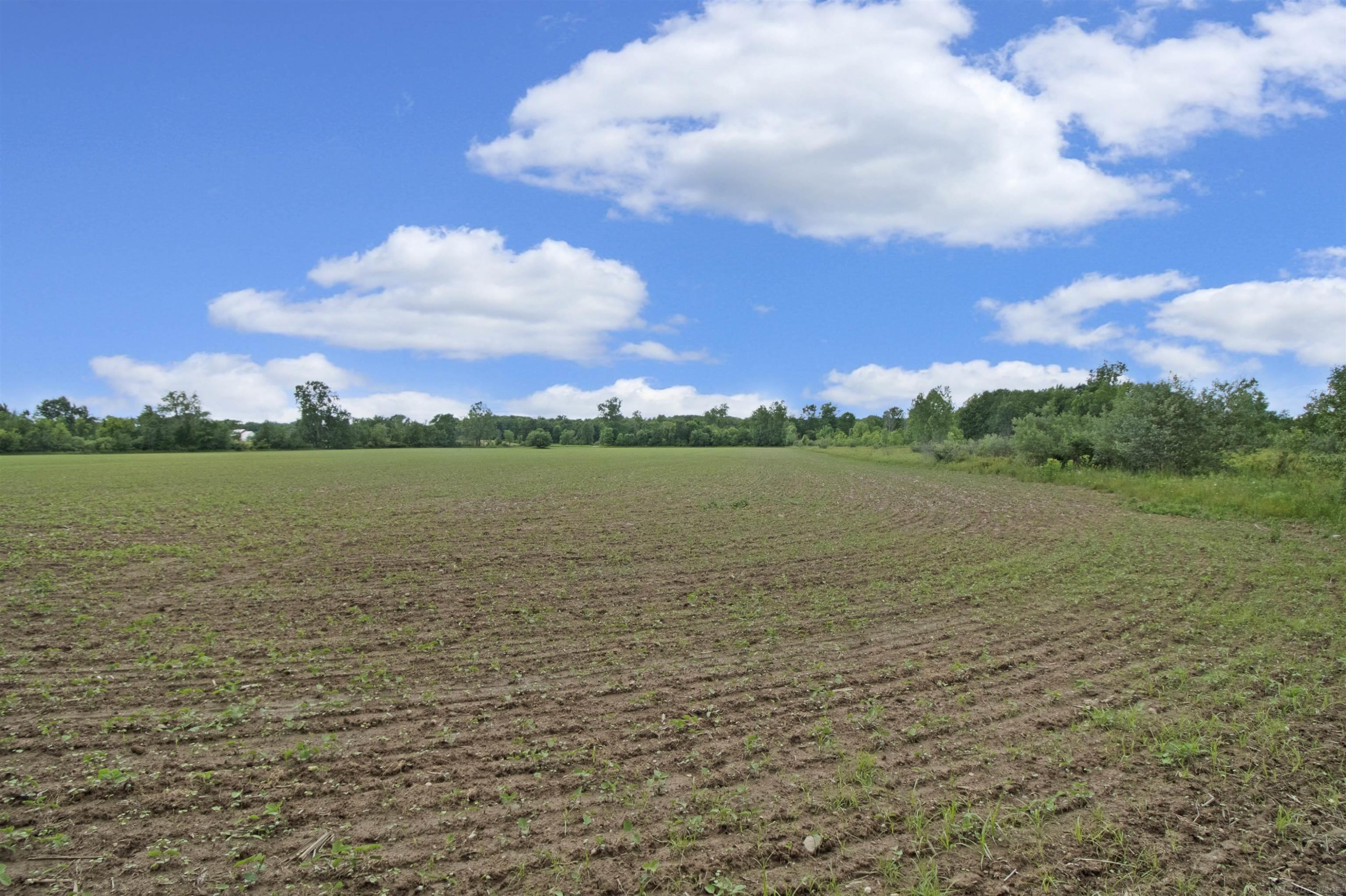 Quain Road, Emmett, MI 48022 — Photo 5