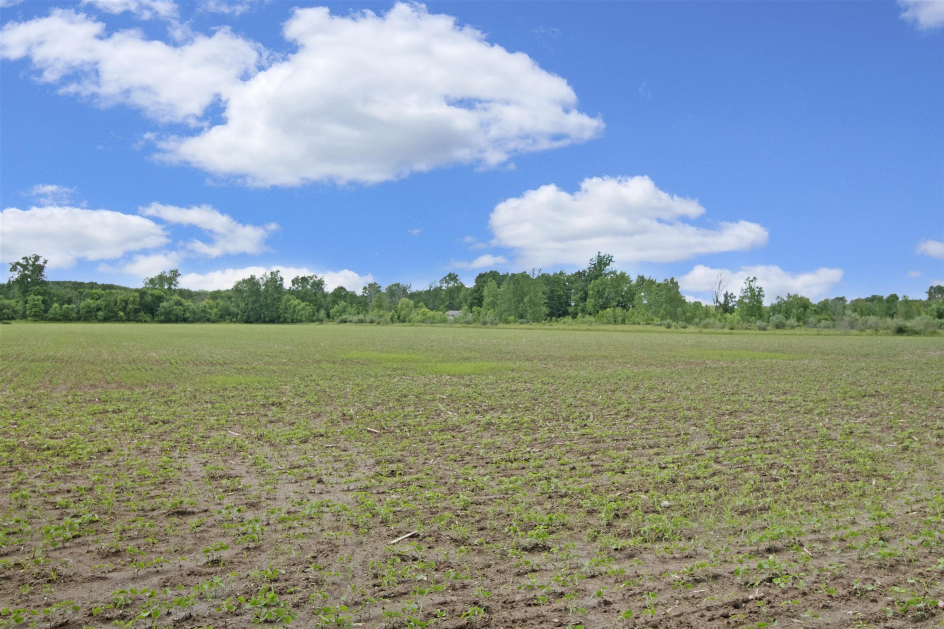 Quain Road, Emmett, MI 48022 — Photo 6