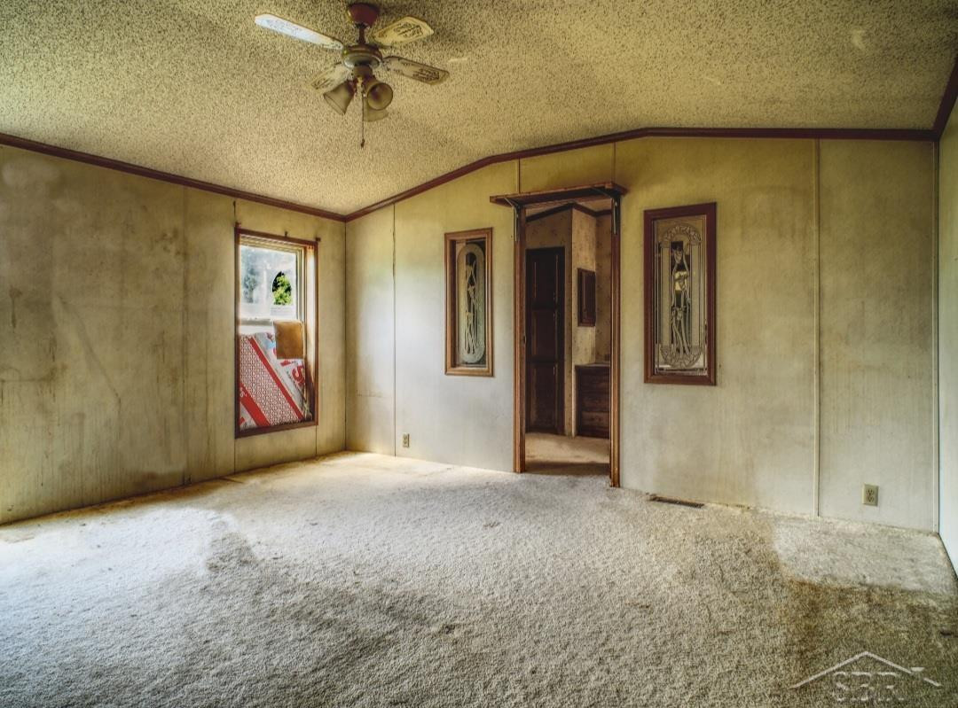 1128 Rashell Drive, Crystal, MI 48818 — Photo 12