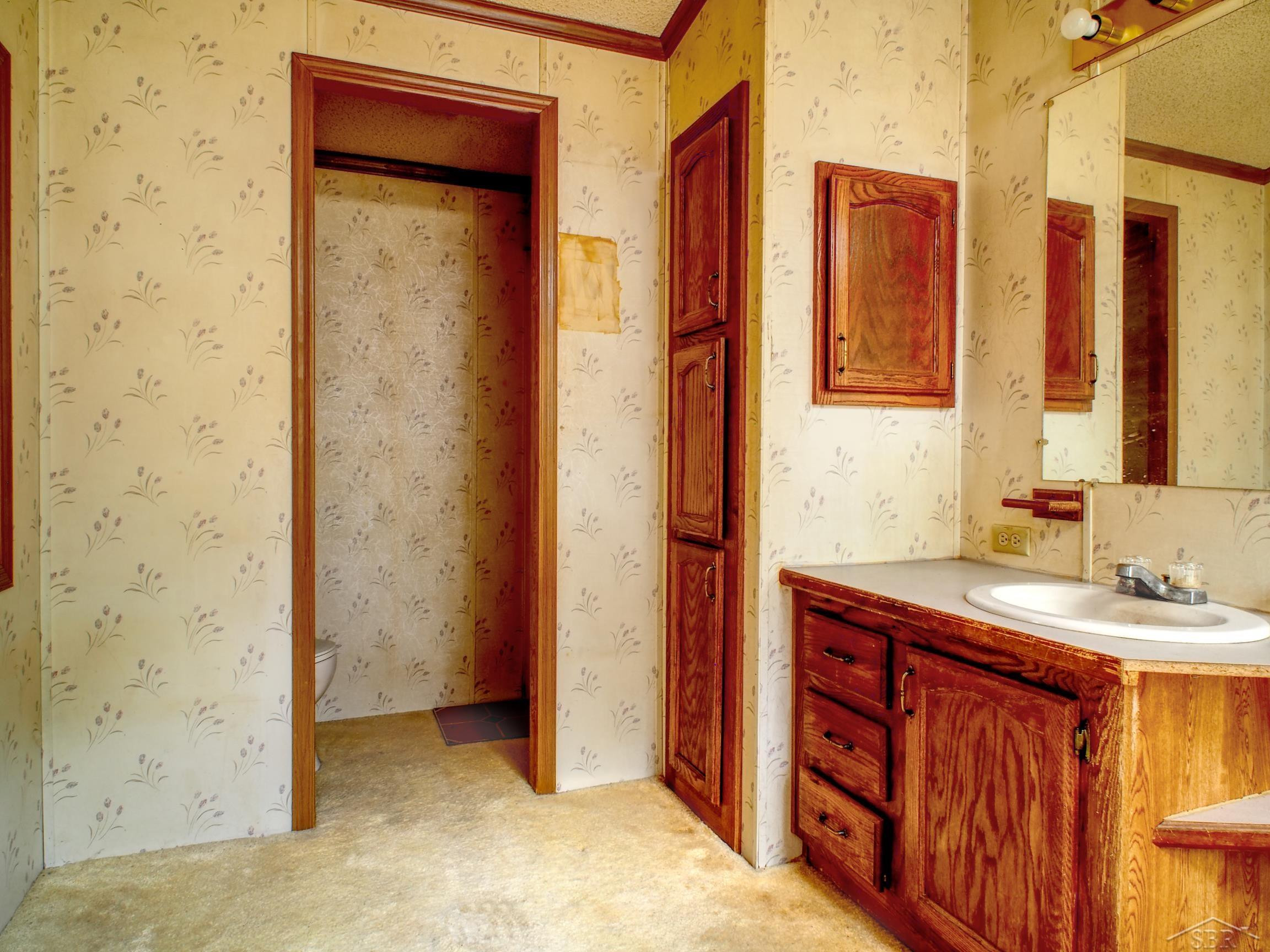 1128 Rashell Drive, Crystal, MI 48818 — Photo 15