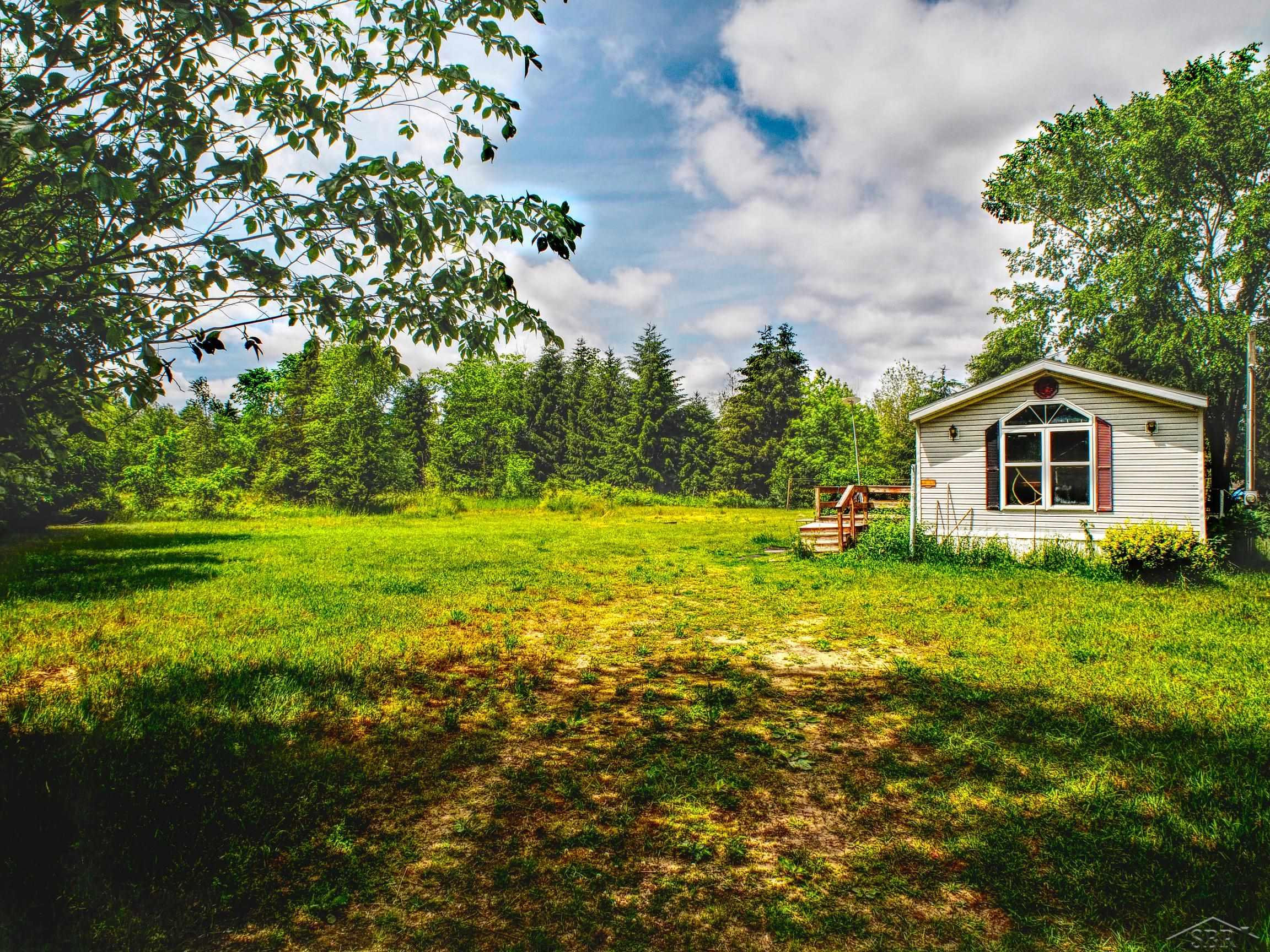 1128 Rashell Drive, Crystal, MI 48818 — Photo 19
