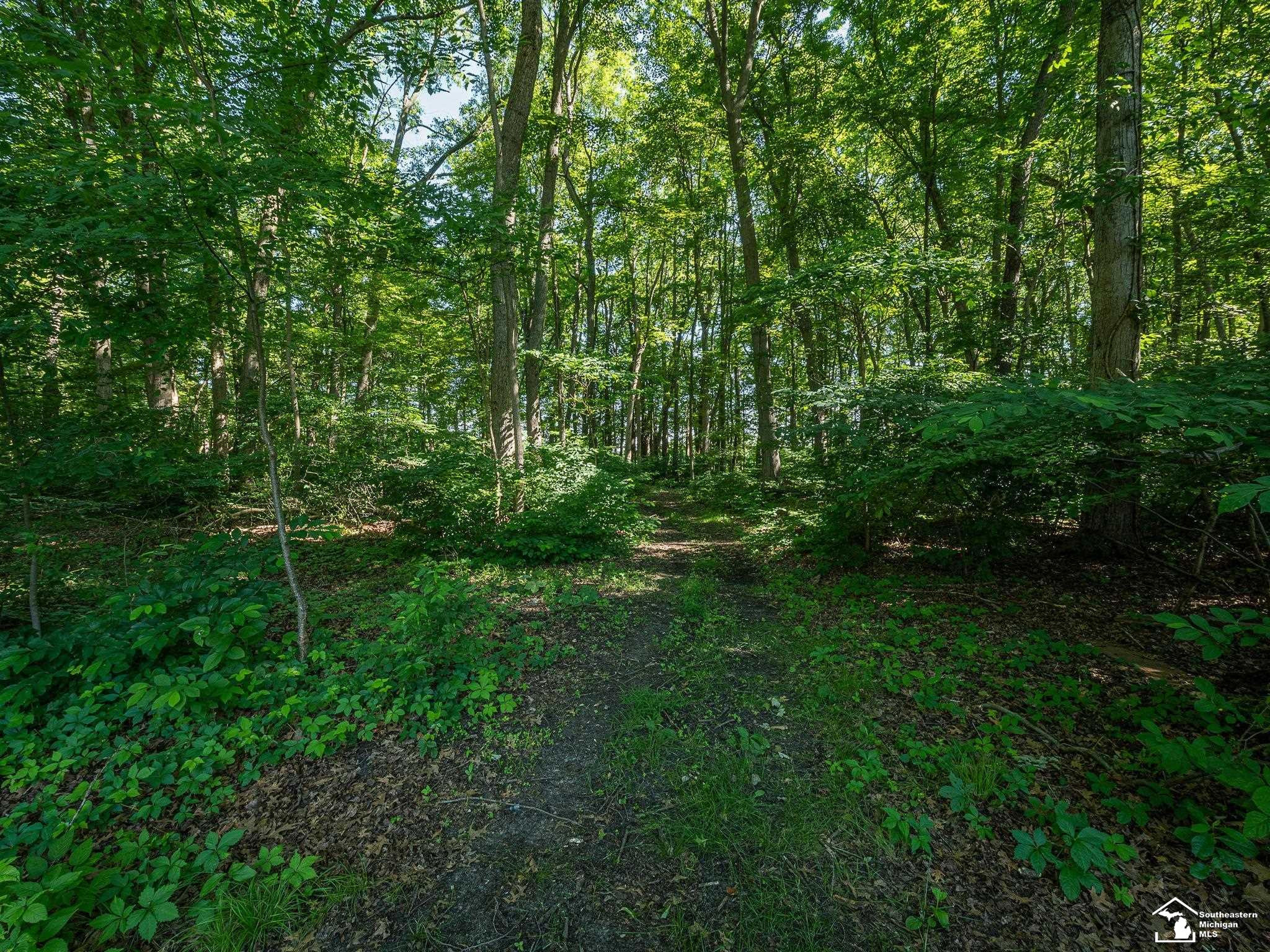 4496 School Road, Temperance, MI 48182 — Photo 37