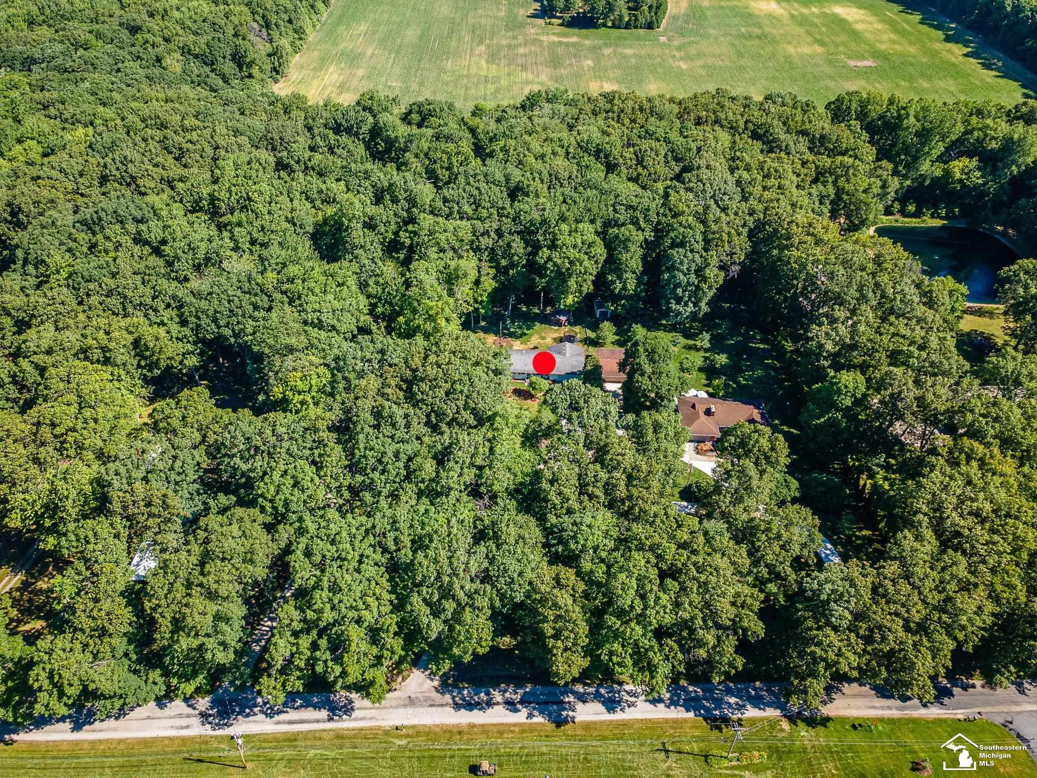 4496 School Road, Temperance, MI 48182 — Photo 42