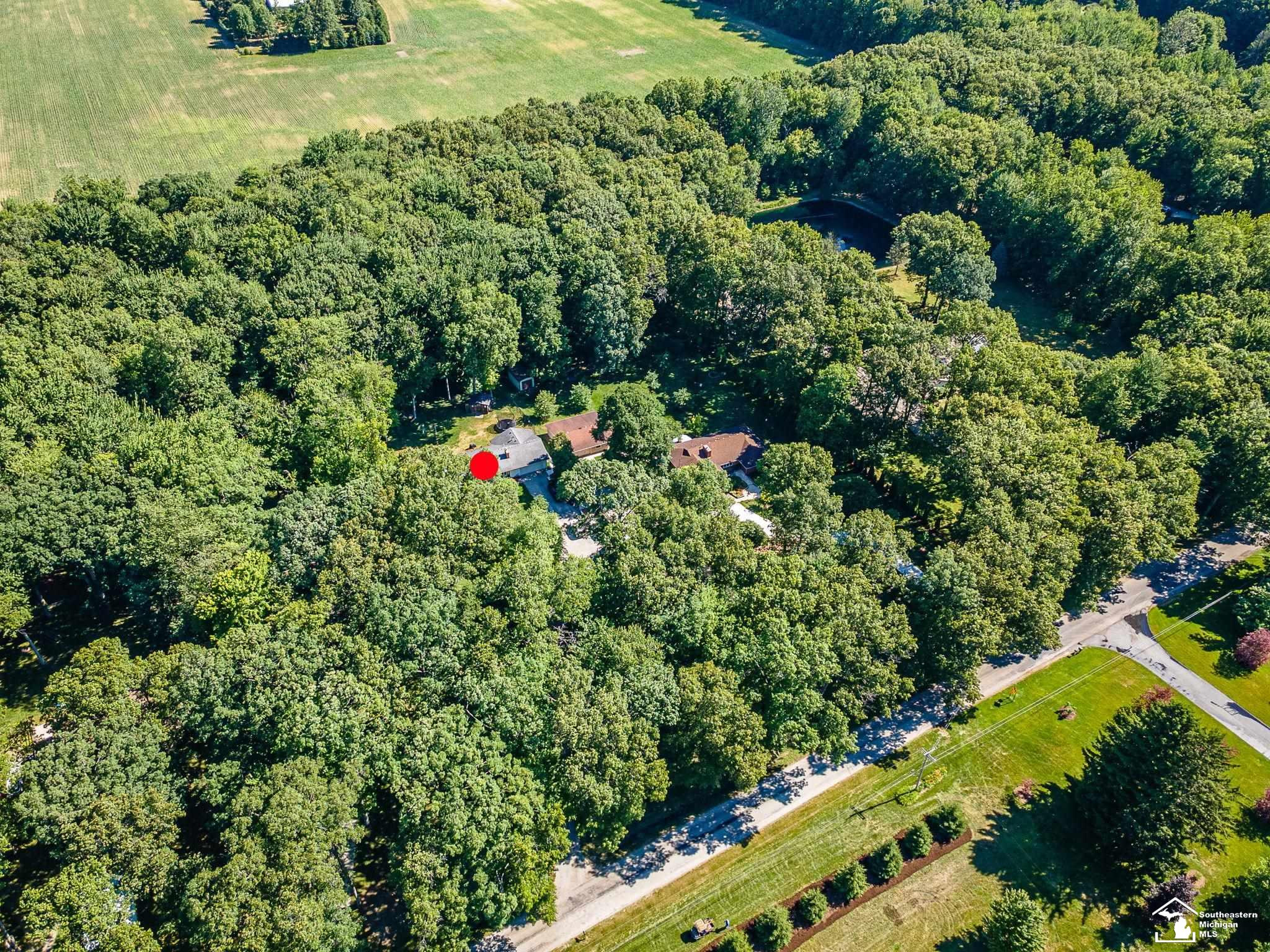 4496 School Road, Temperance, MI 48182 — Photo 43
