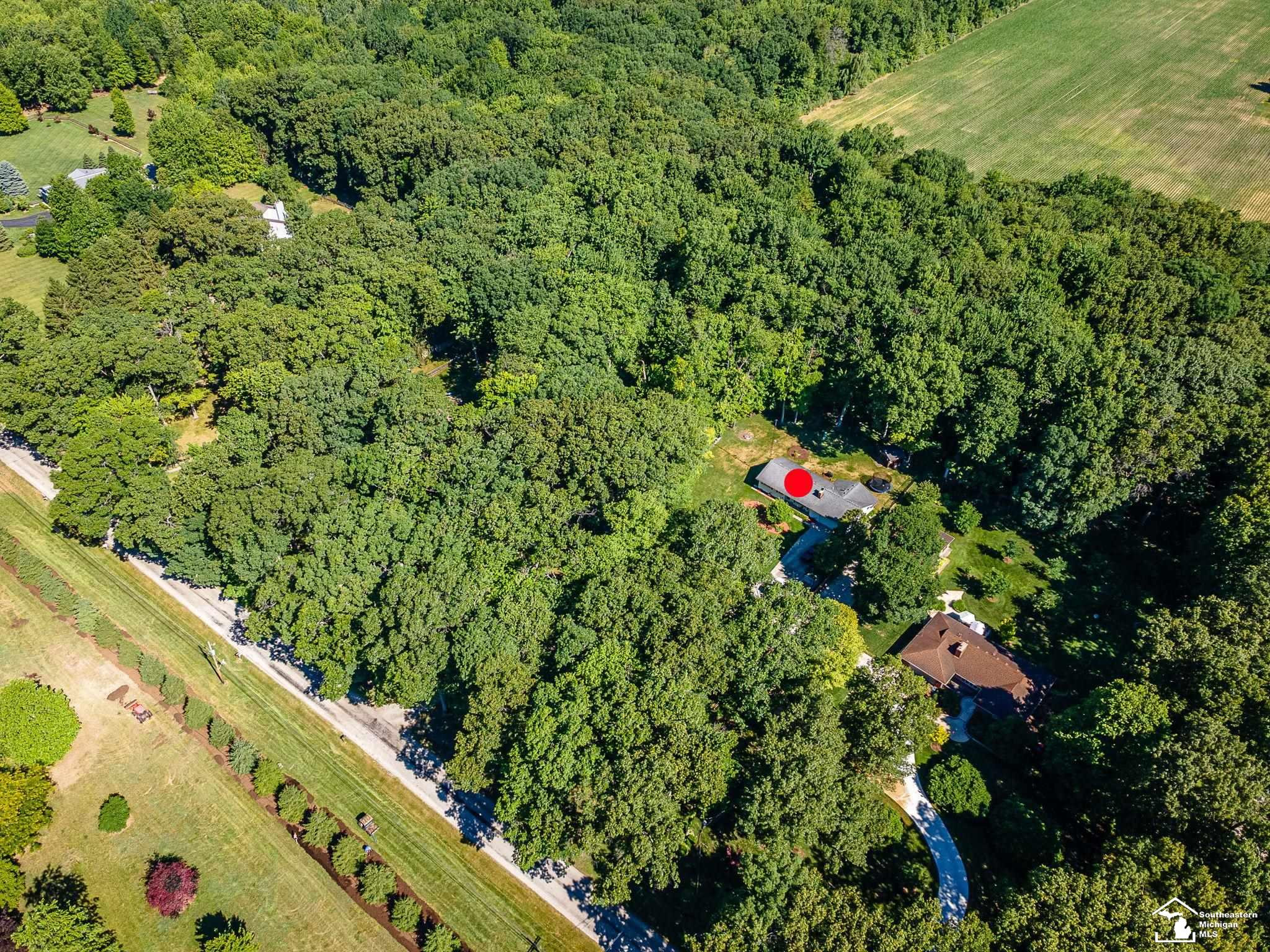 4496 School Road, Temperance, MI 48182 — Photo 44